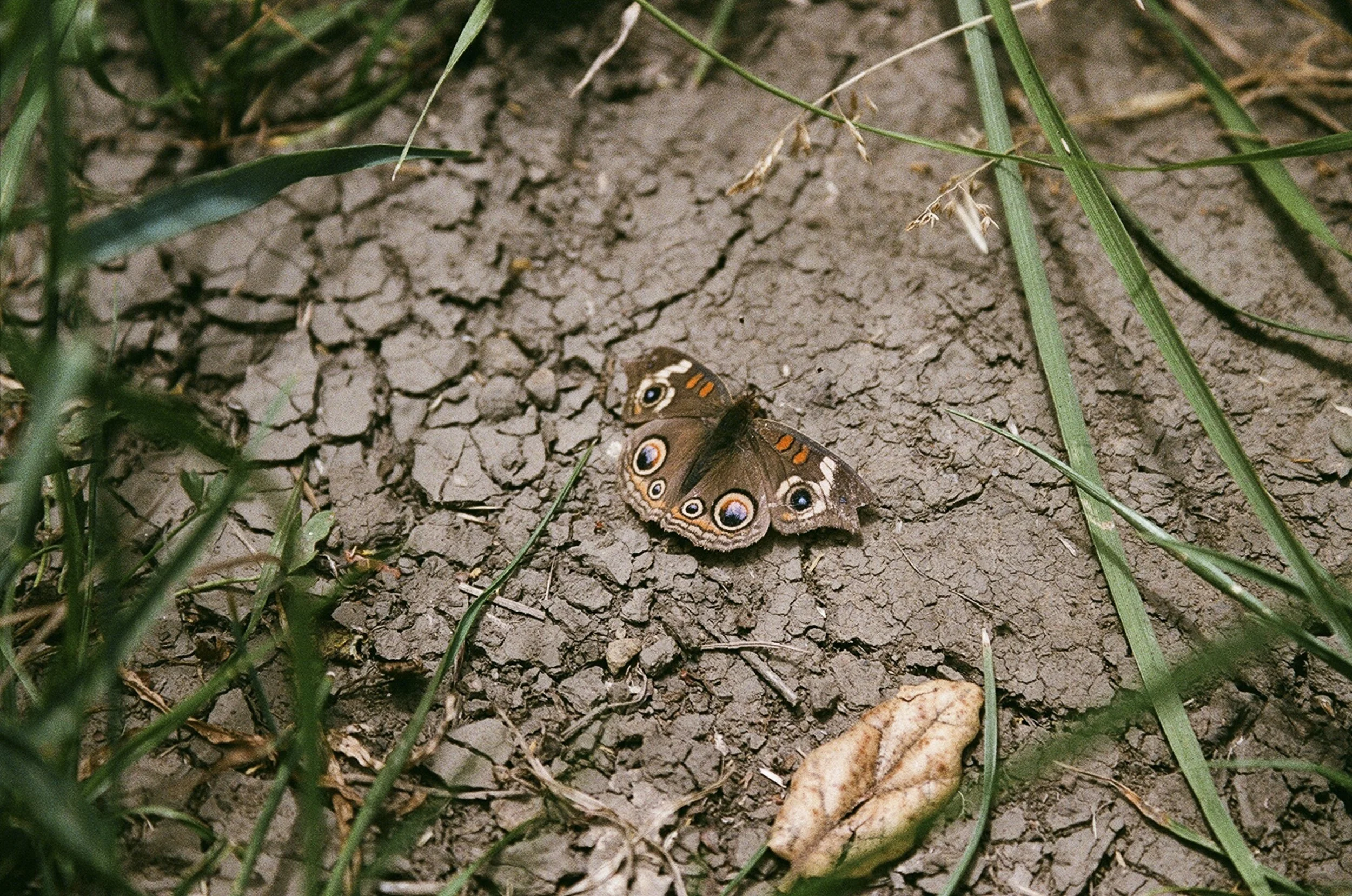 love-67.jpg