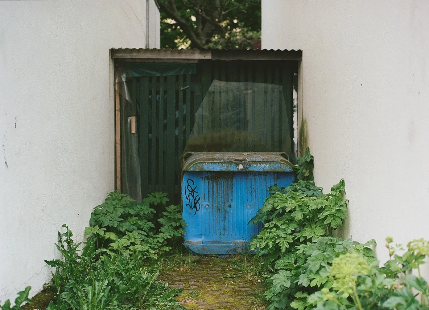 Iceland Reykjavik