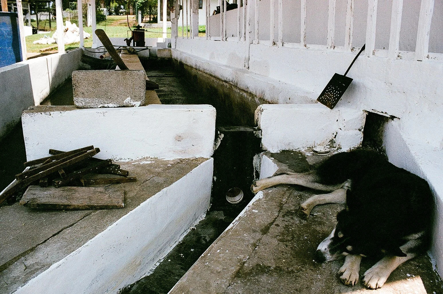 Guatemala 