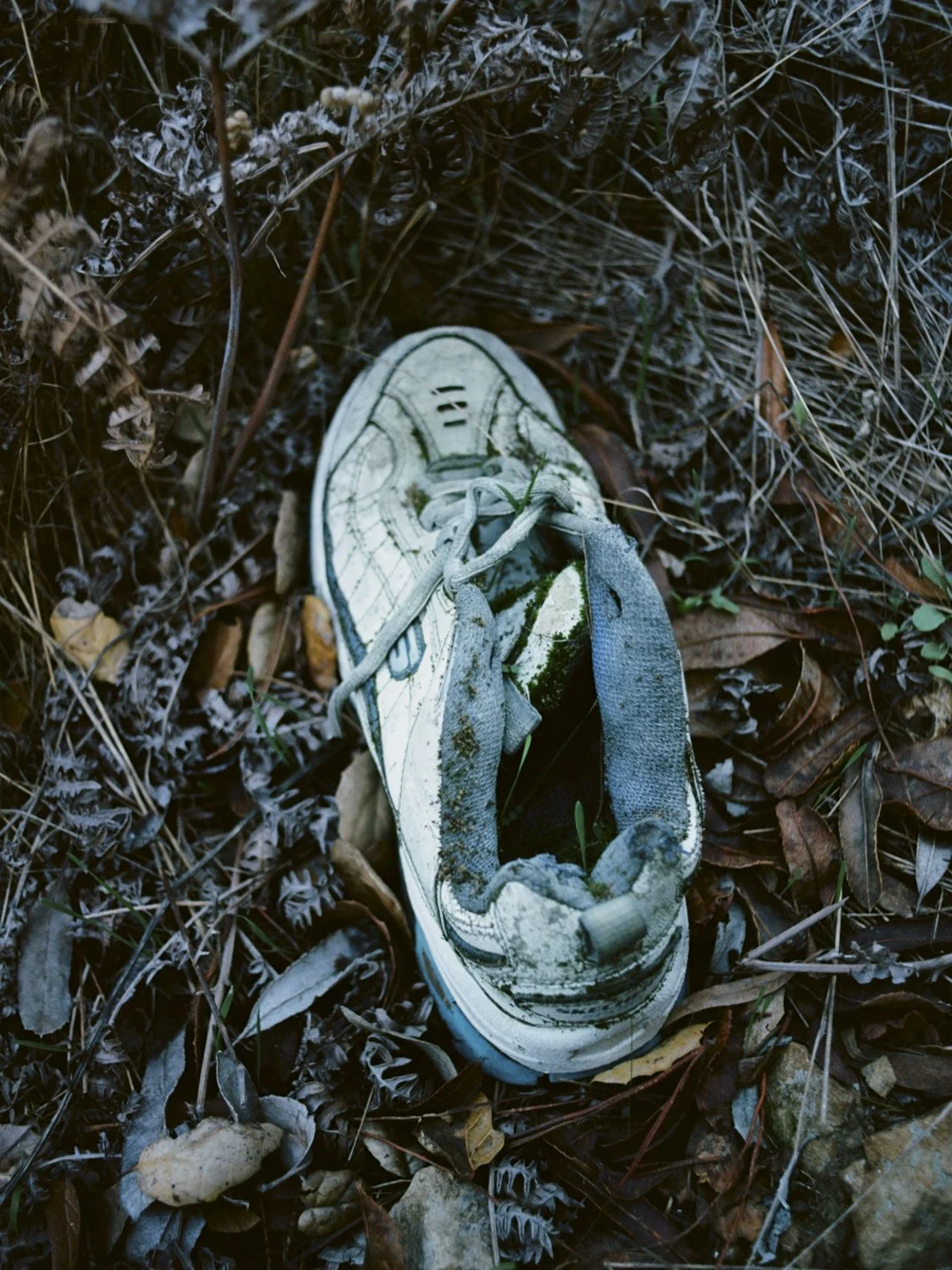 IA_2-24.jpg