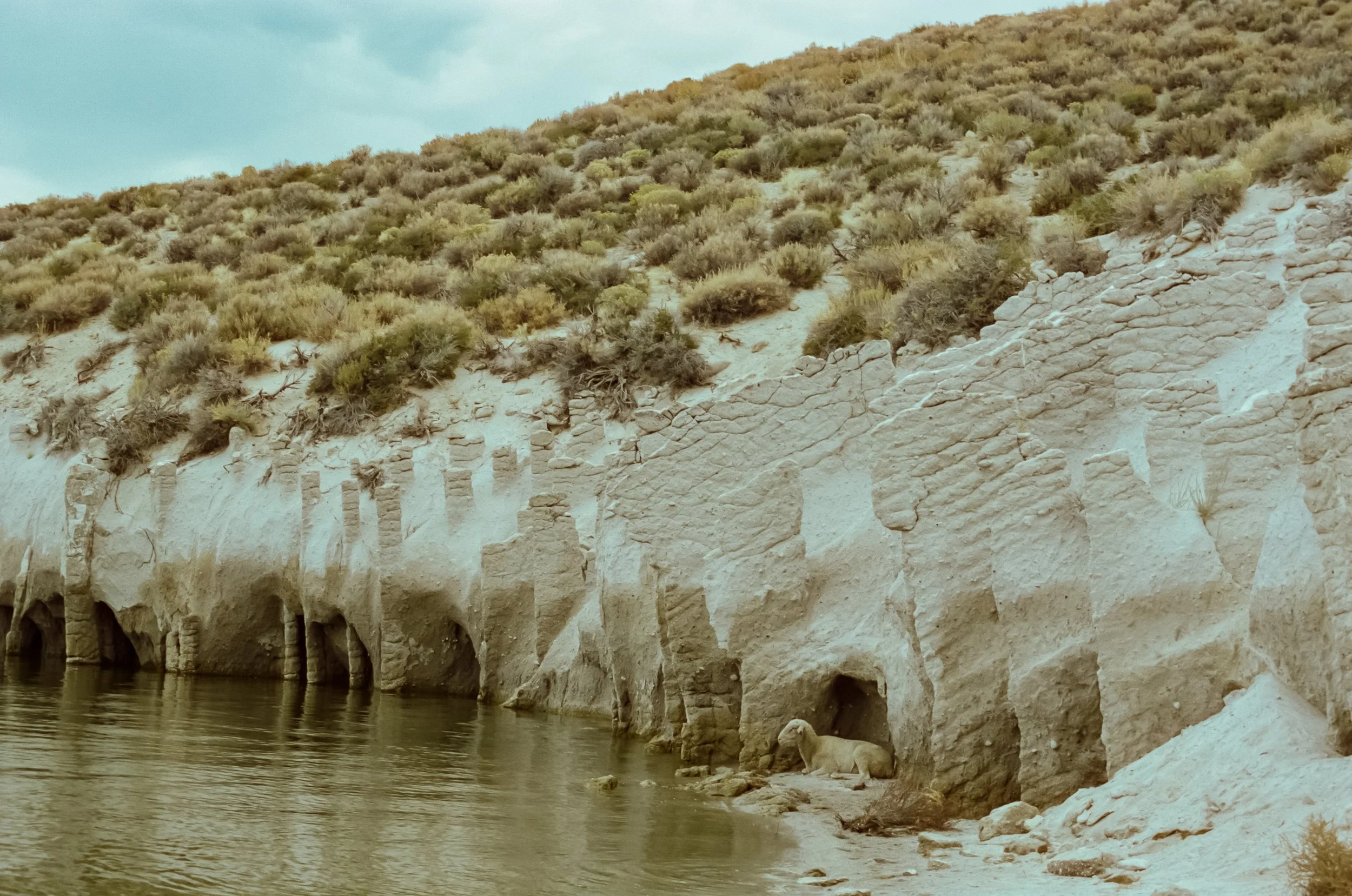 Crowley lake