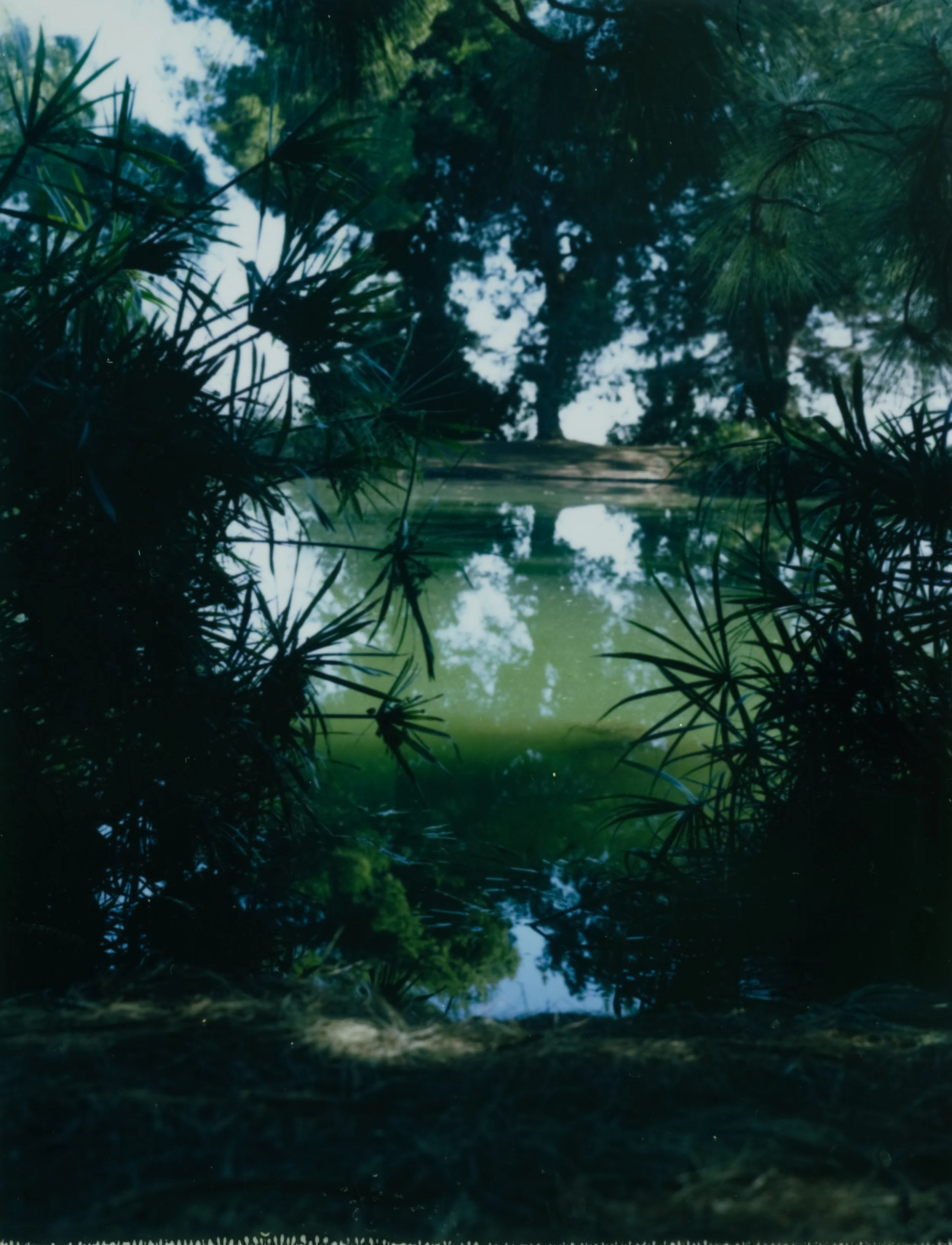 land camera polaroid