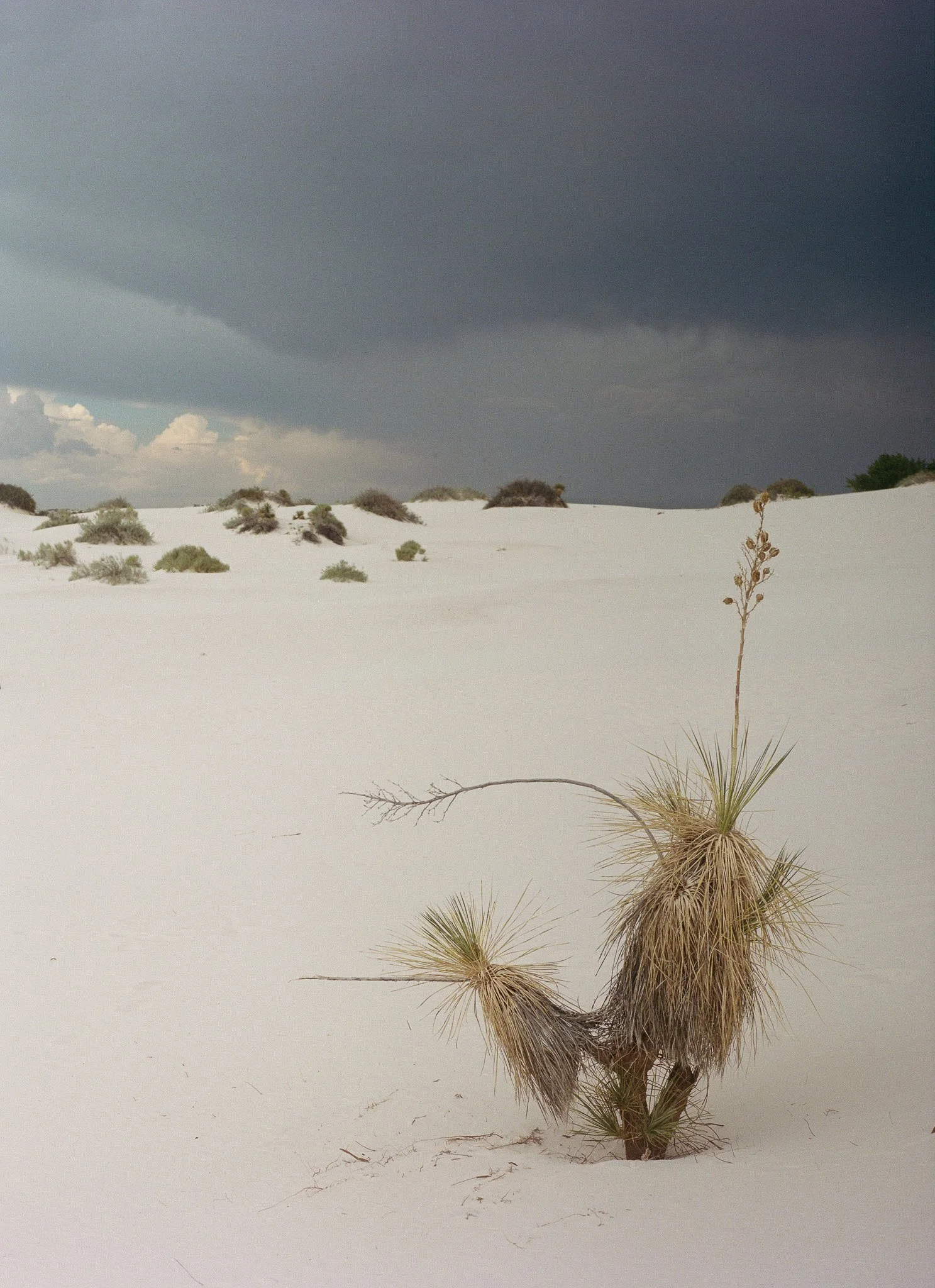 white sands, NM