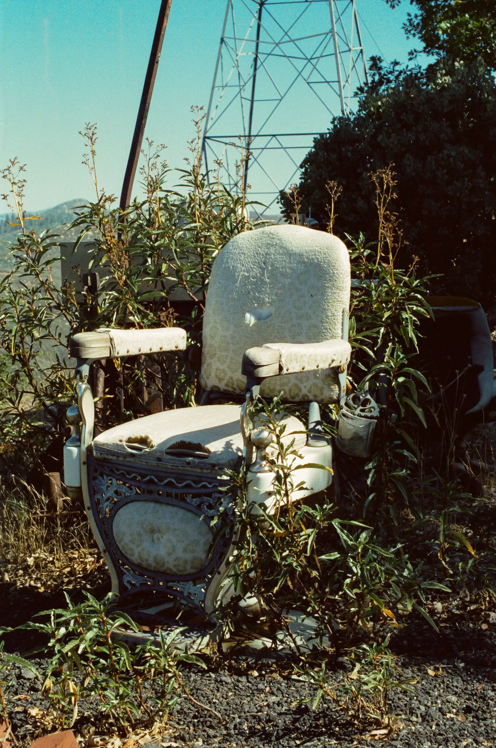97840025-2.jpg