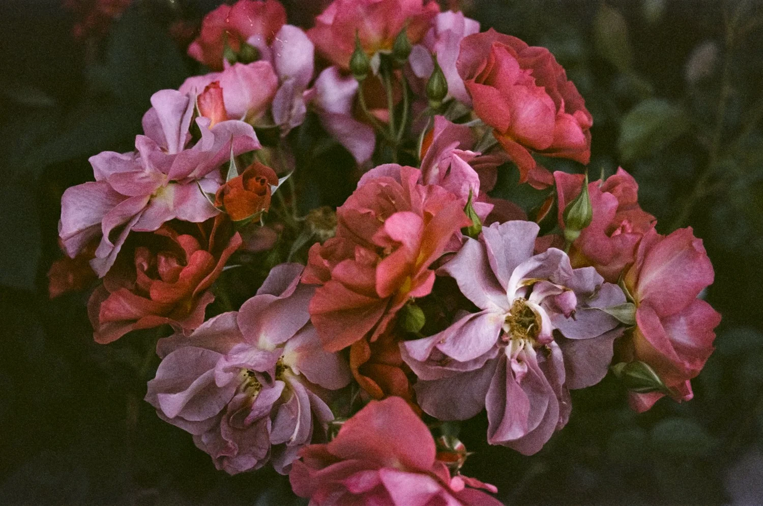 printqualityIAA-4.jpg