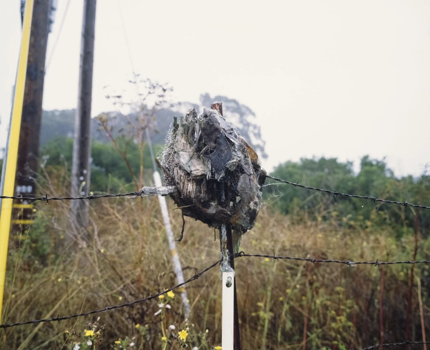 IA_2-10.jpg