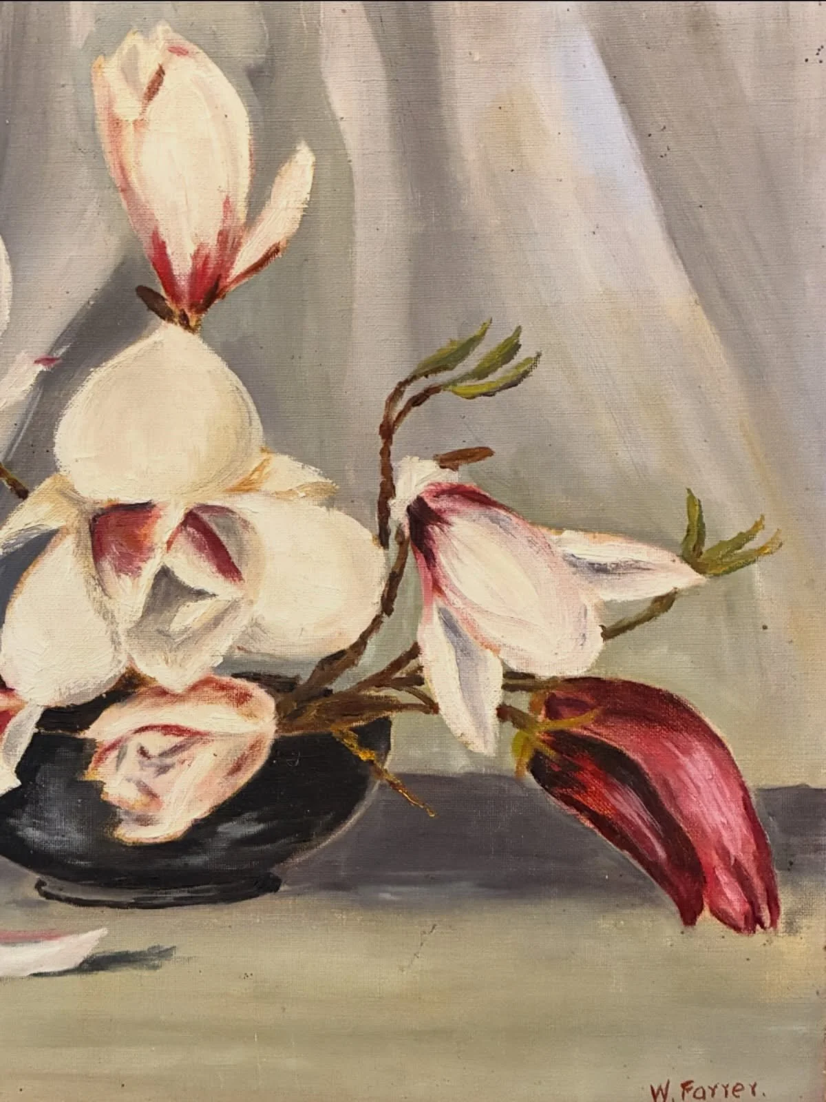 A fantastic surprise find of this beautiful Magnolia still life today, the eve of Matariki! 
If my research is correct, it is an original oil on board painted by artist Winifred Farrer who exhibited with the NZ Academy of Fines Arts. Her style is per