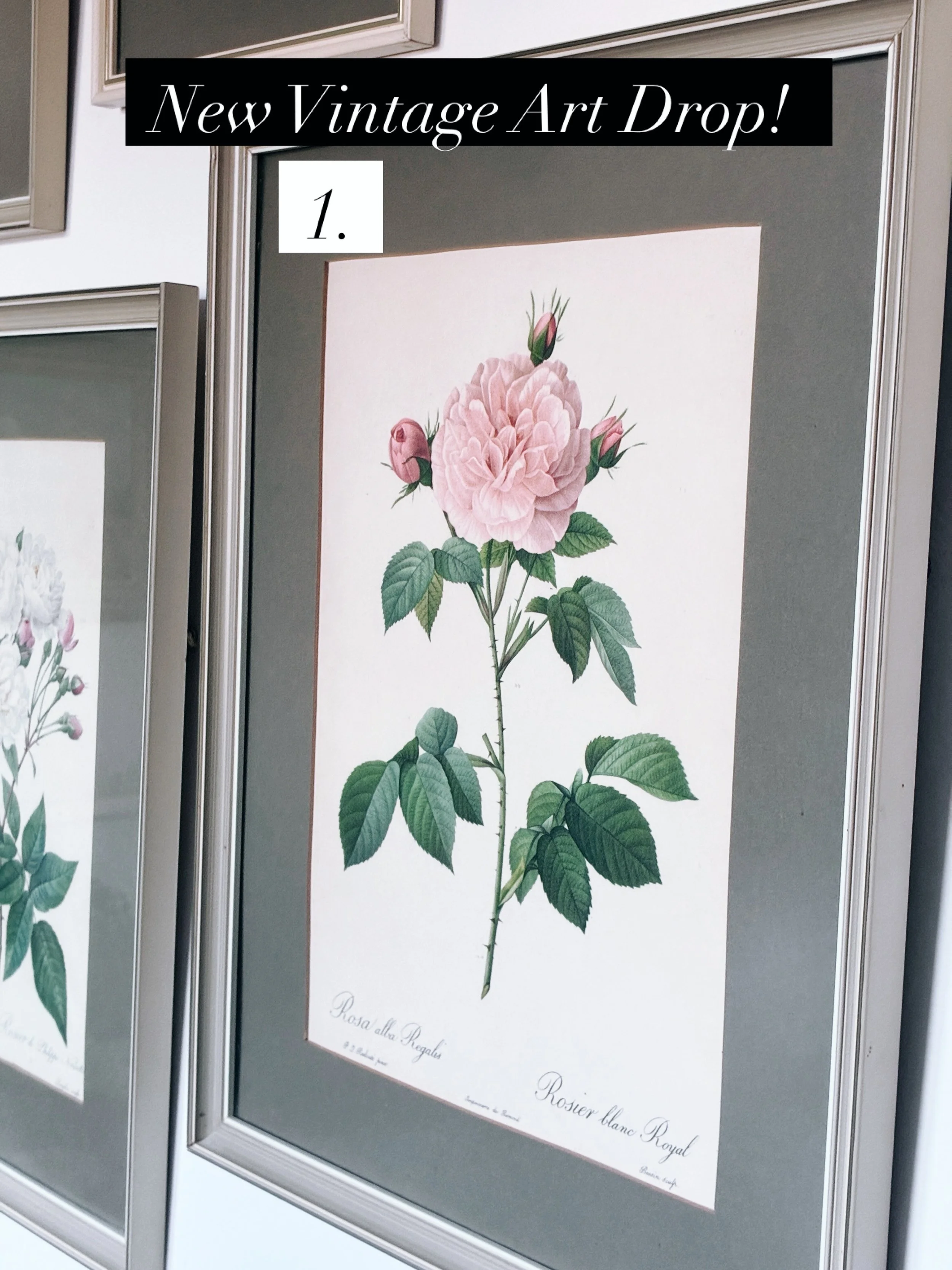 So excited to bring you Maxwell and Magnolia&rsquo;s latest vintage and antique art drop! Please comment &ldquo;Sold&rdquo; to purchase or DM me to claim. P&amp;P excl, it will be quoted on DM. Happy hunting. T x Prices: 
1-7 Are vintage prints by re