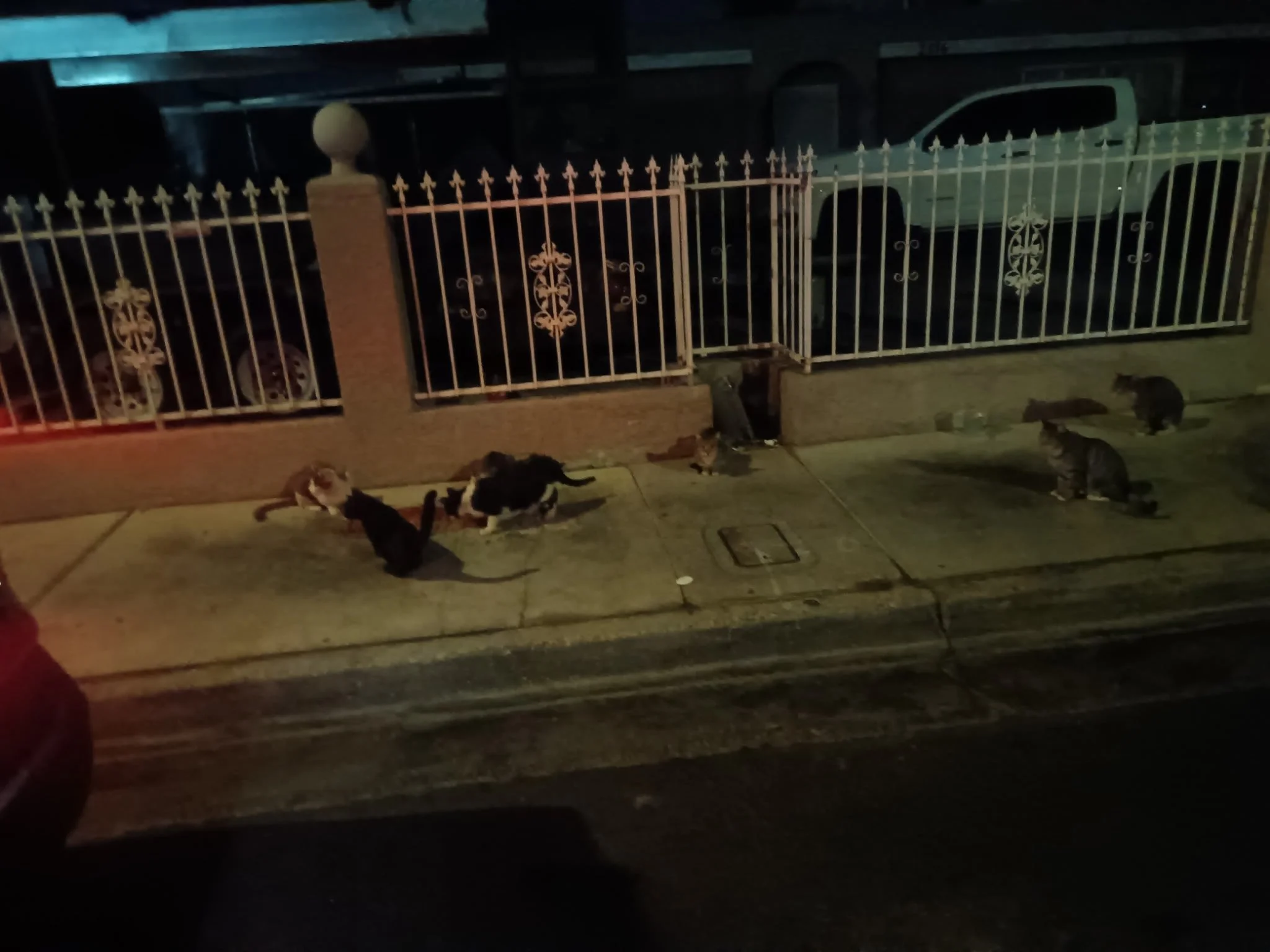 IMG_20260902_025739.jpeg