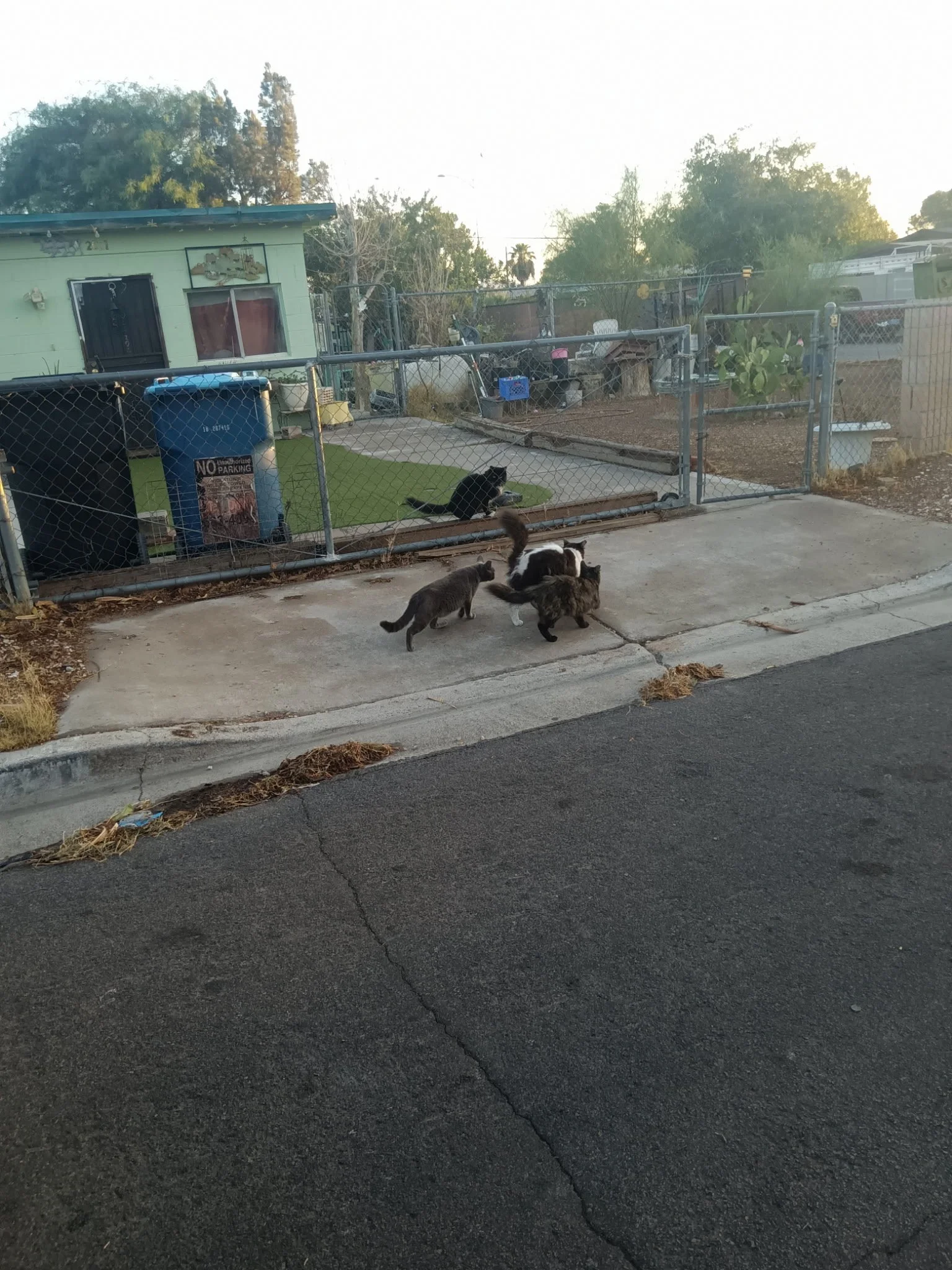 IMG_20260815_061942.jpeg