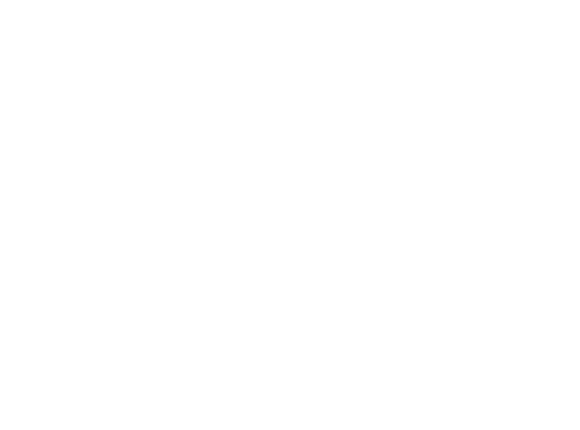 Valkyrie Defense Solutions