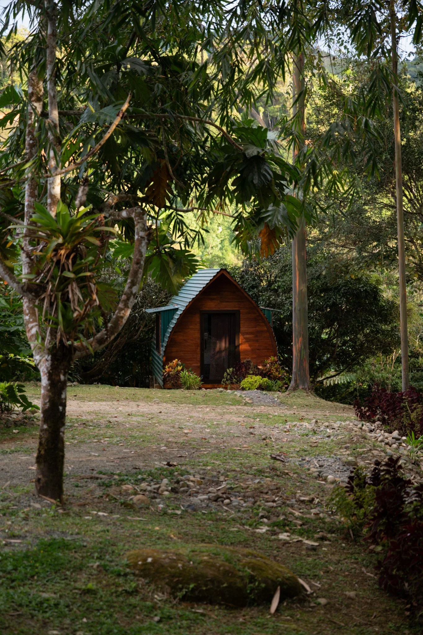 DEPOSIT Shared Jungle Pod Twin (Sleeps 2)