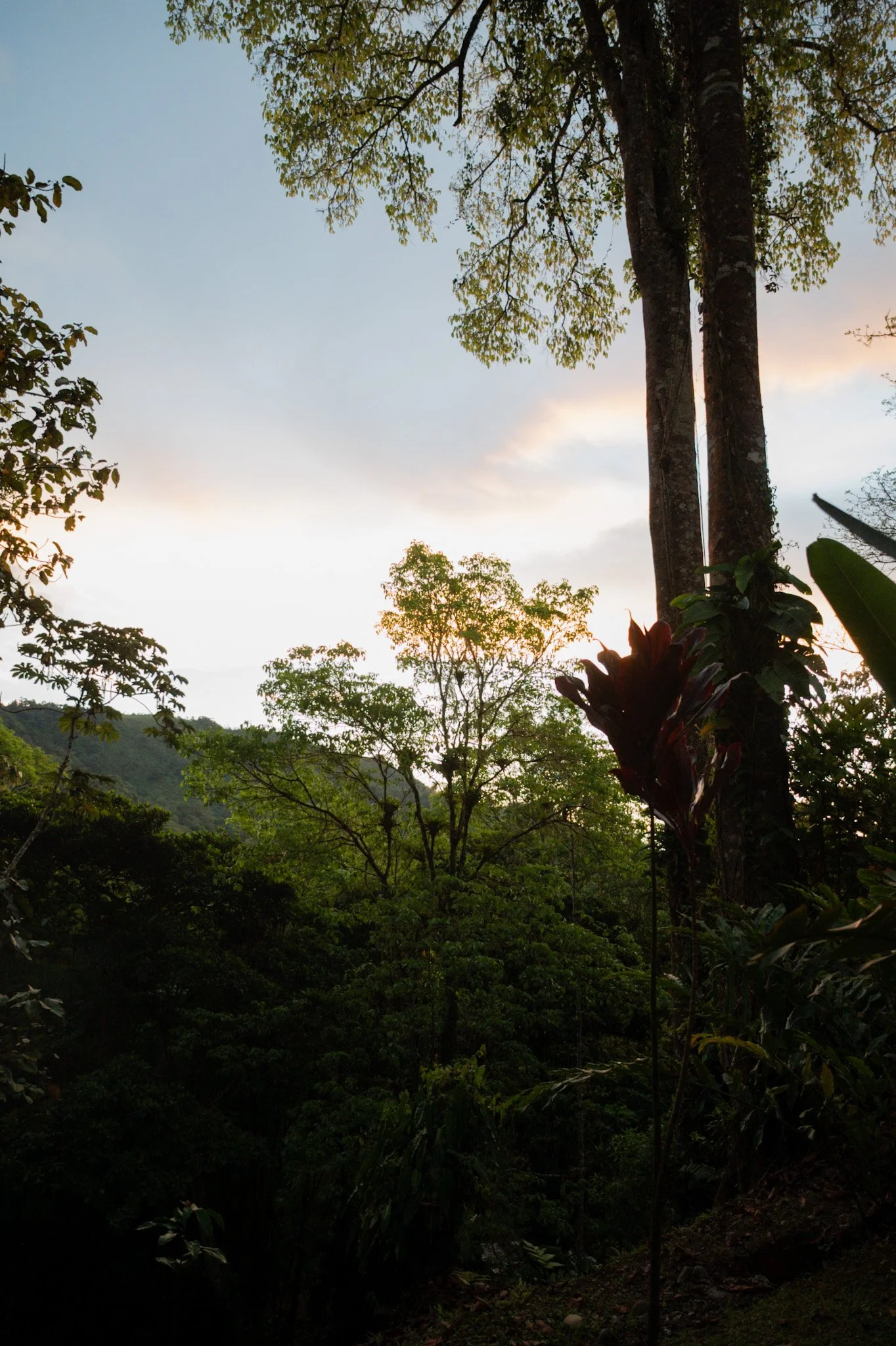 DSC_1711.jpeg