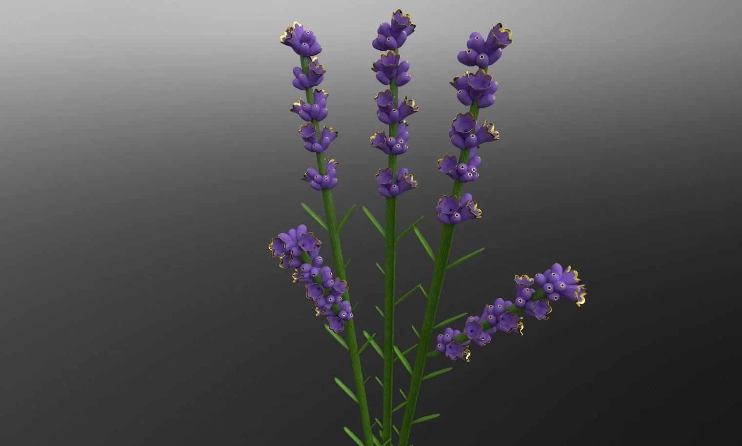 3D modeled lavender flower with gold accents