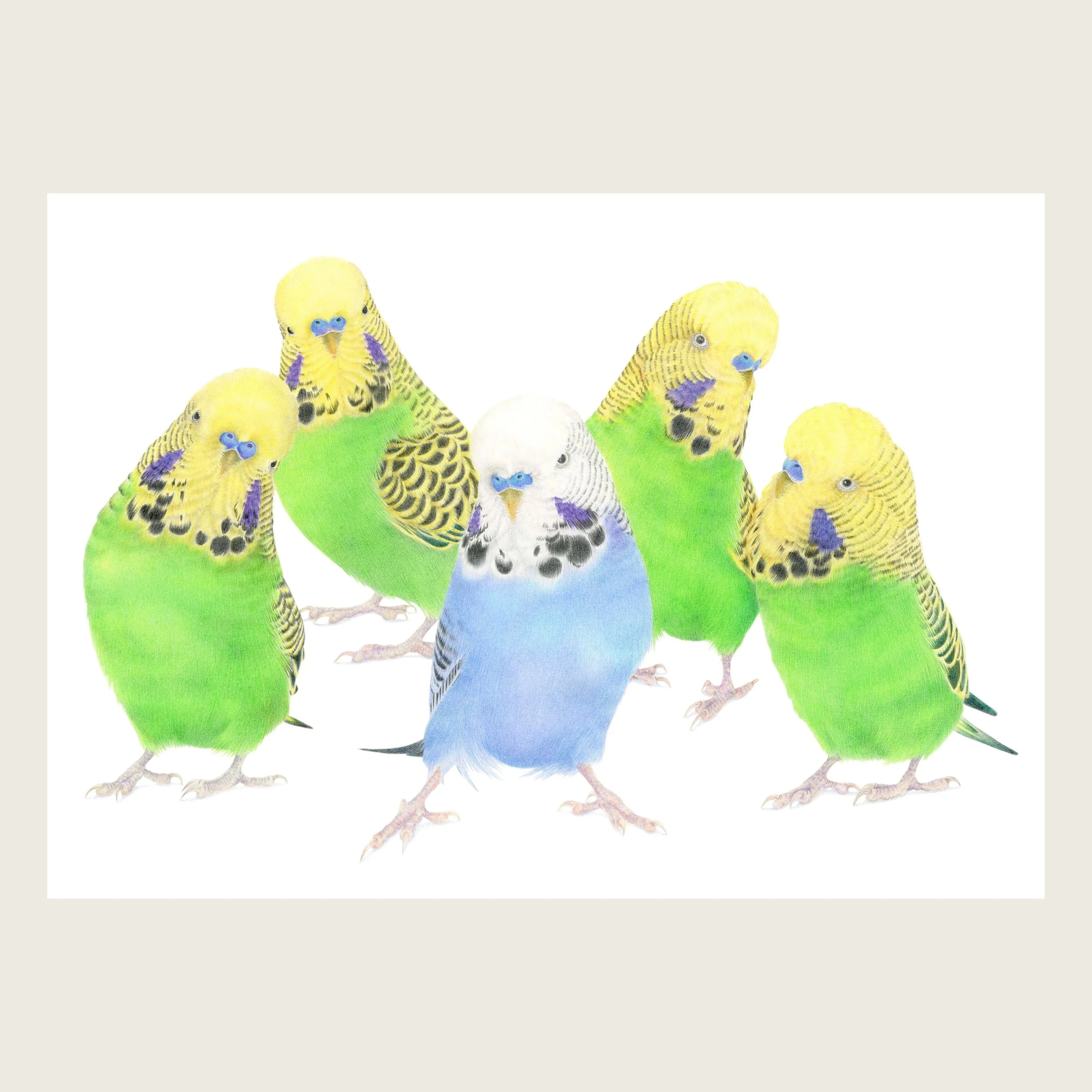 Individuality