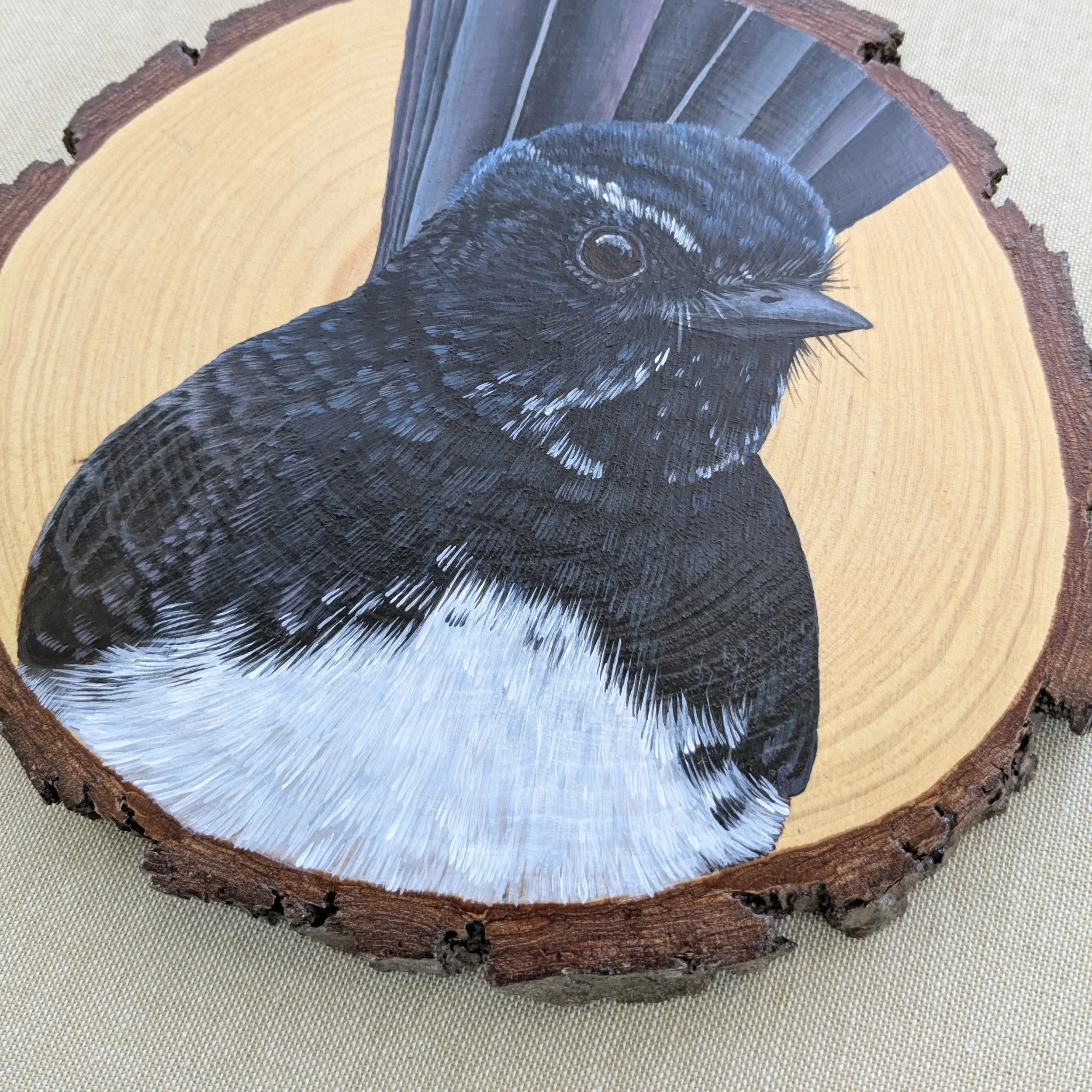 williewagtail9.jpg