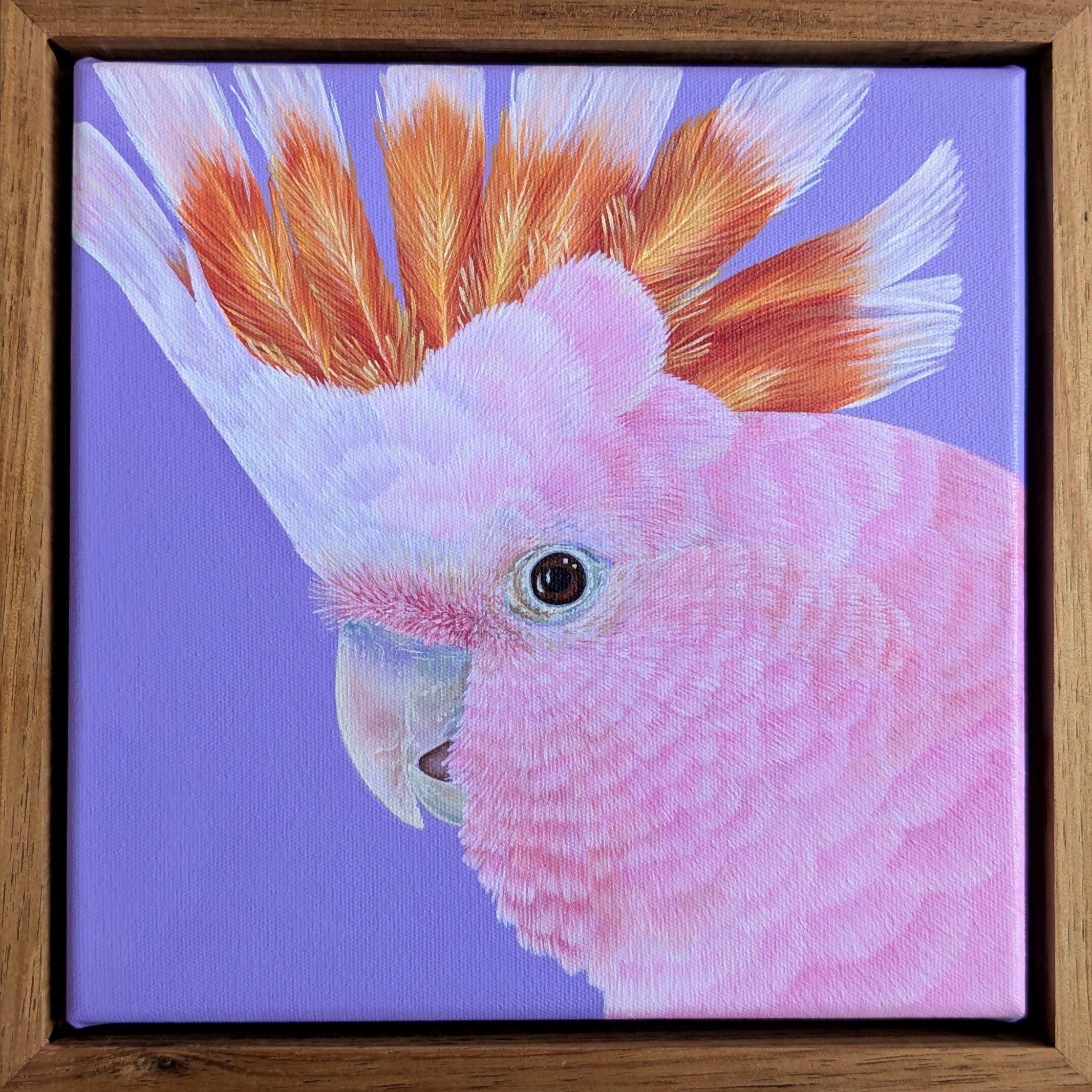 Pink Cockatoo