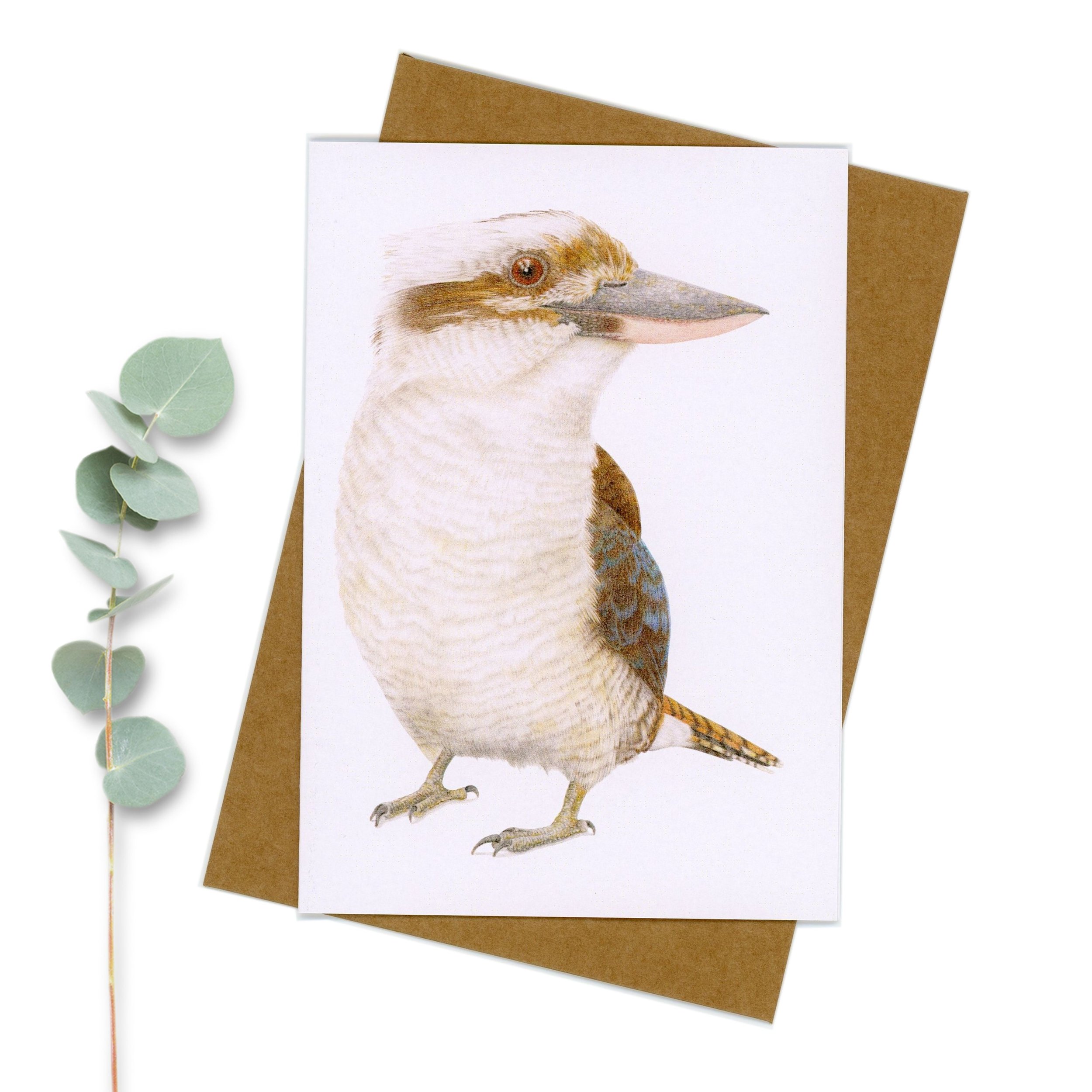Standing kookaburra greeting card