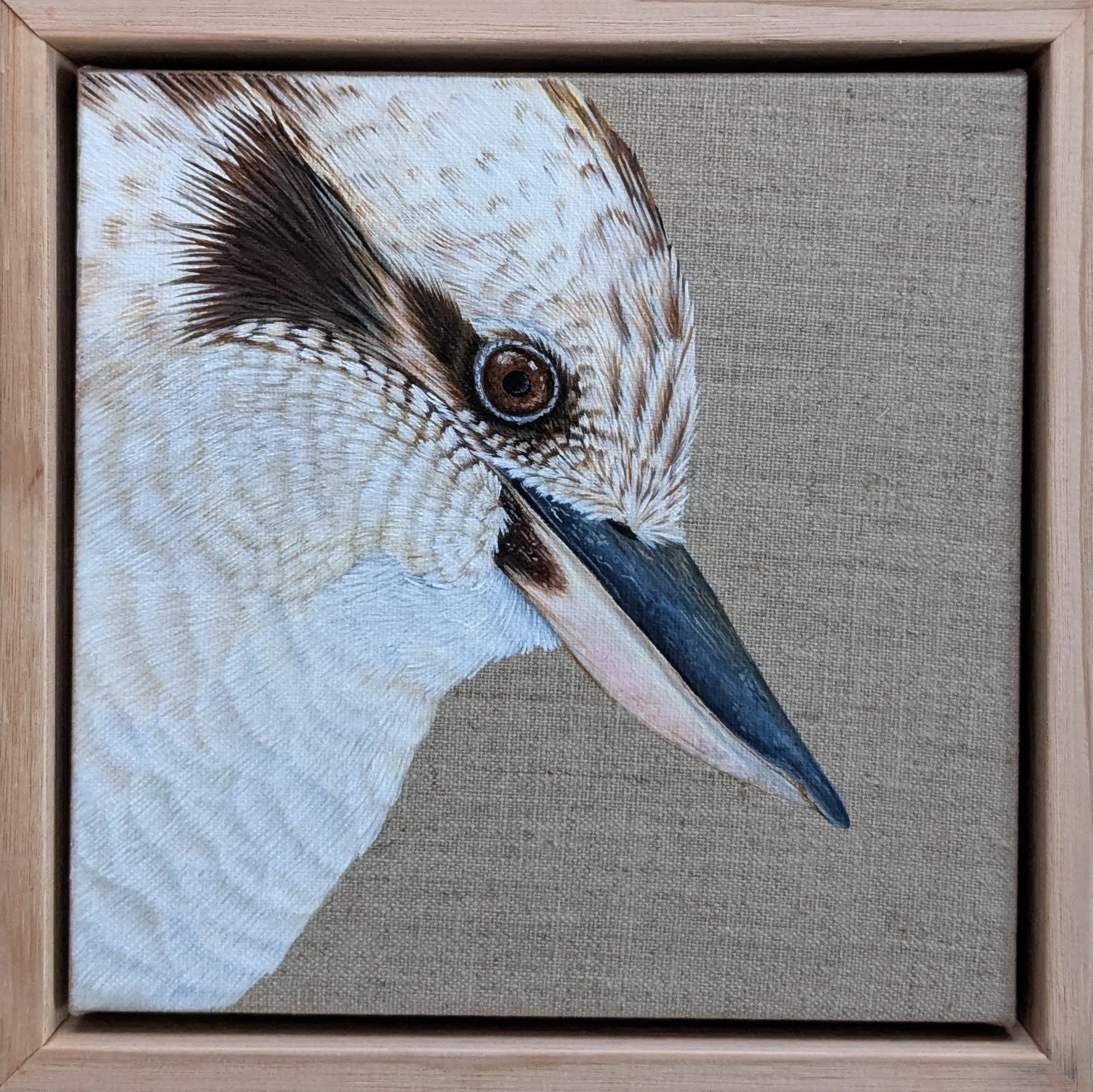 Frances the Laughing Kookaburra