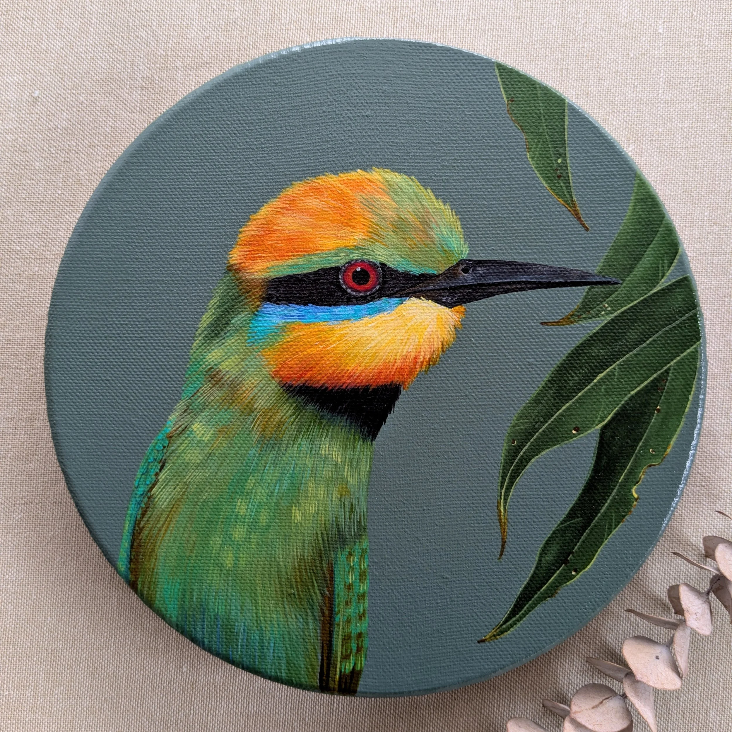 Rainbow bee-eater