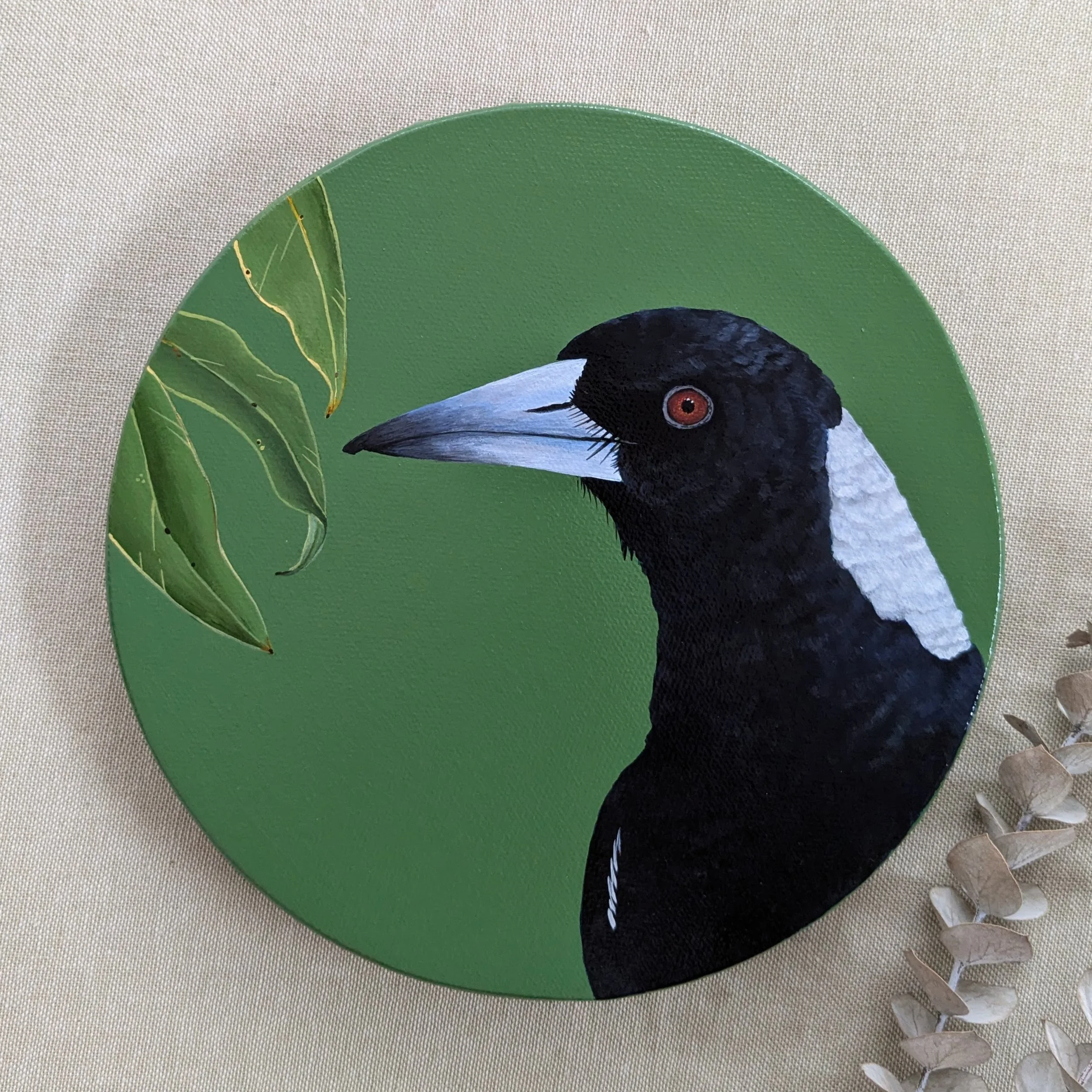 Magpie with Eucalyptus leaves