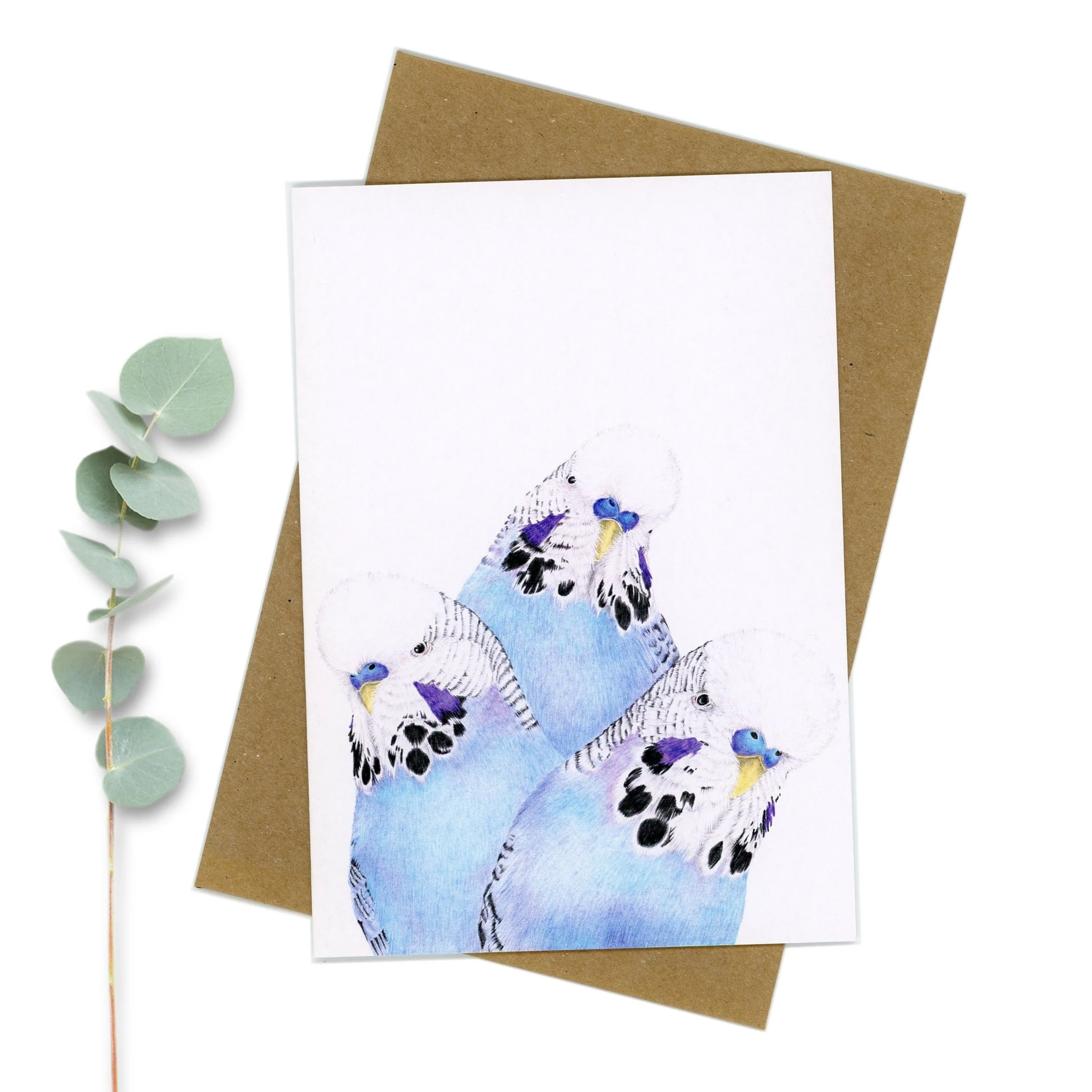 Blue budgie greeting card