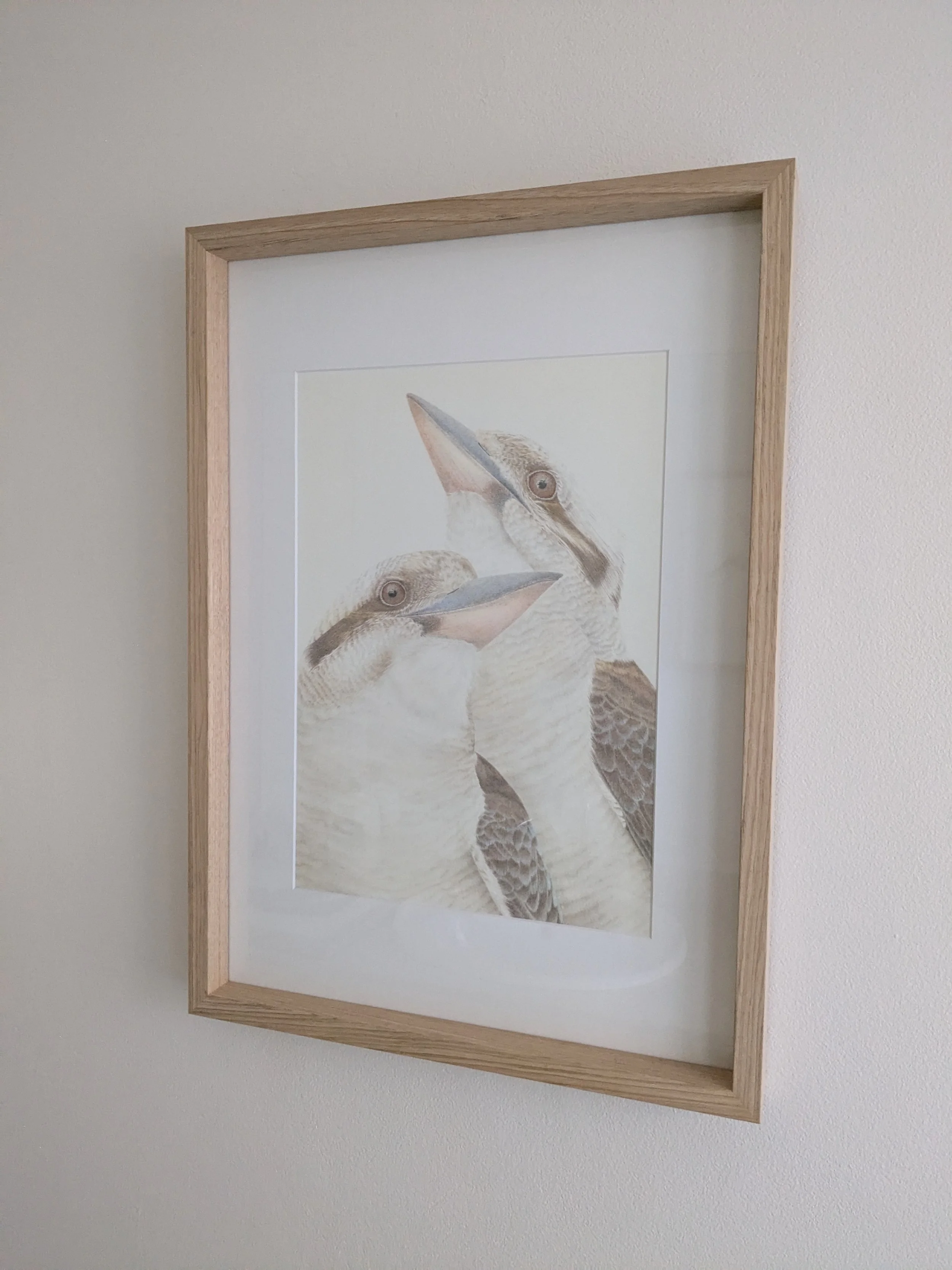 Bakker.KookaburraSiblings.Framed..jpg