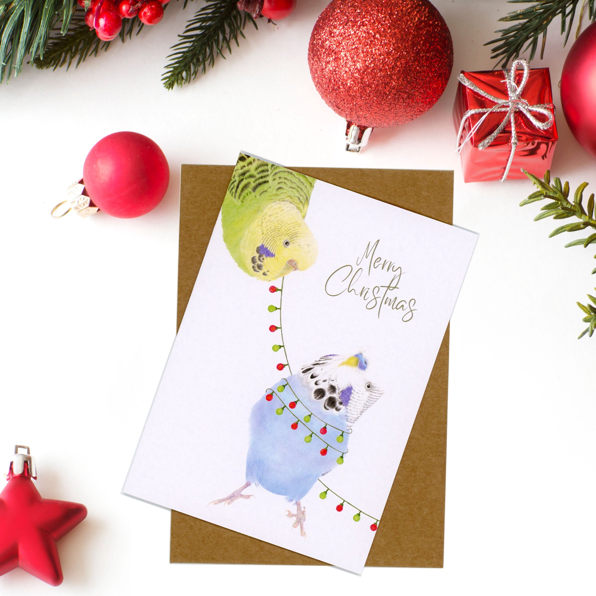 Budgie Lights Christmas Card