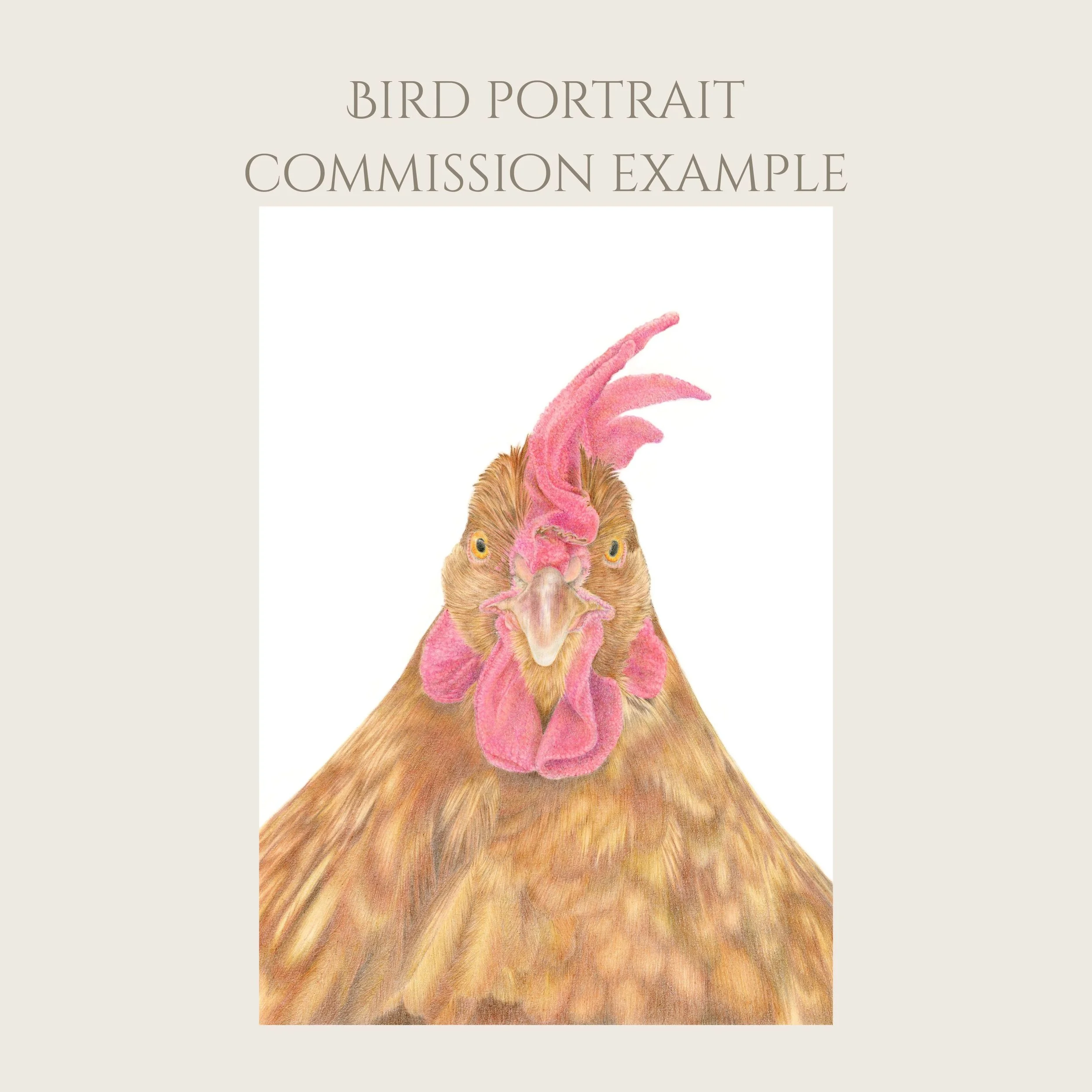 Frame suggestion (Drawing comes unframed) (6).jpg