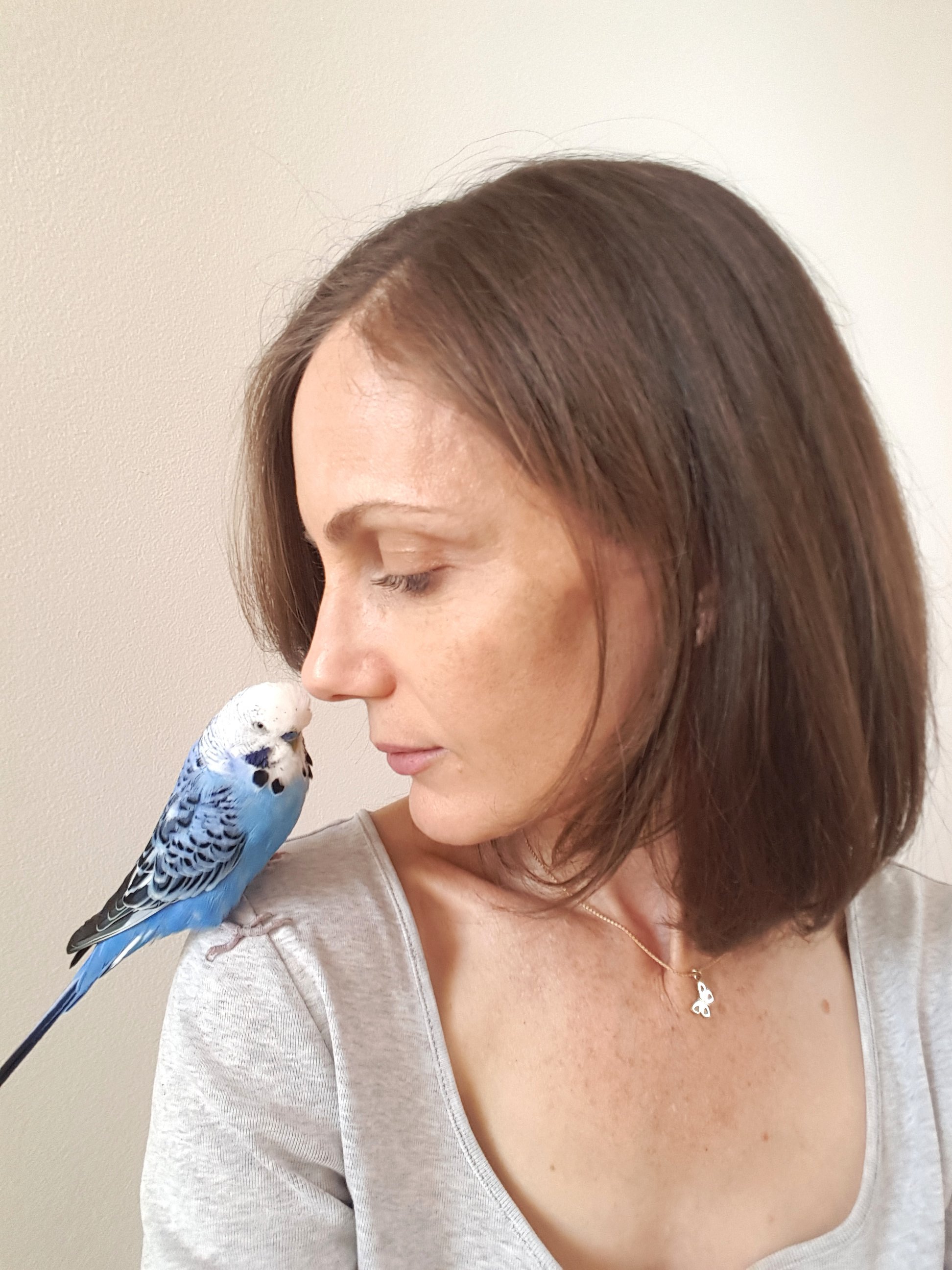 A woman with brown hair and light skin is looking at a blue and white budgerigar perched on her shoulder.