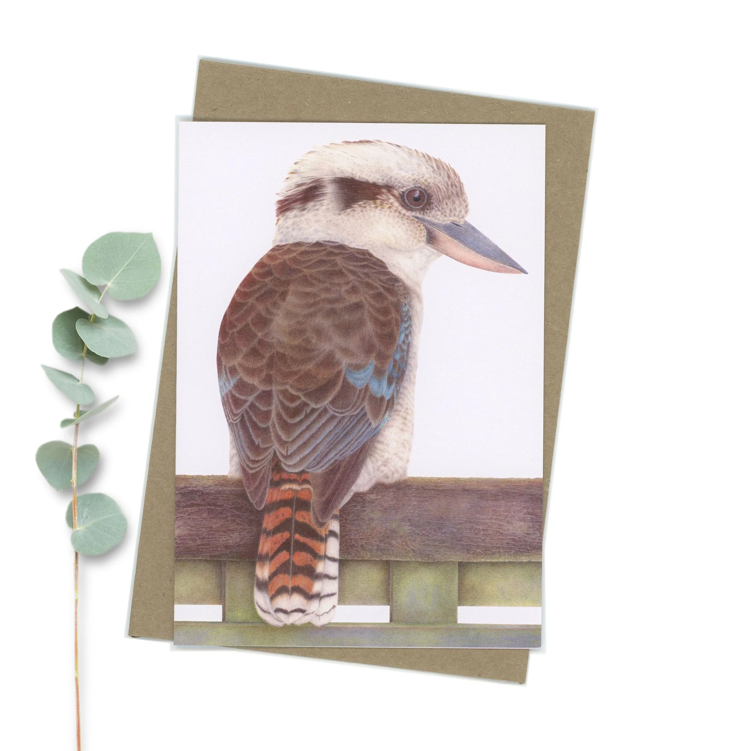 On the fence. Laughing Kookaburra Greeting card.