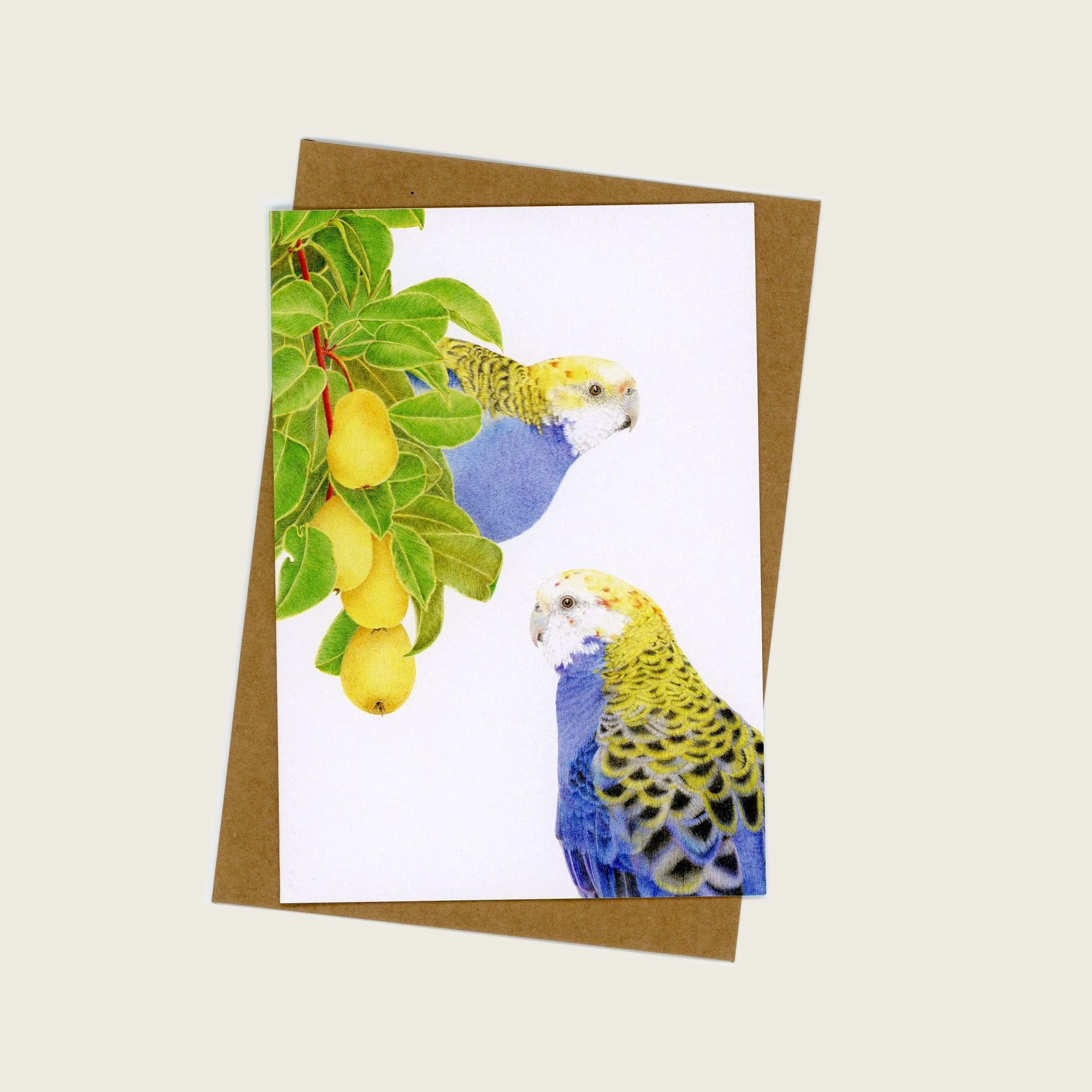 Greeting card with a brown envelope. Greeting card has a white background with an illustration of two parrots in a pear tree.  One pale headed rosellas is in the tree with the other bird in profile in below the tree foliage