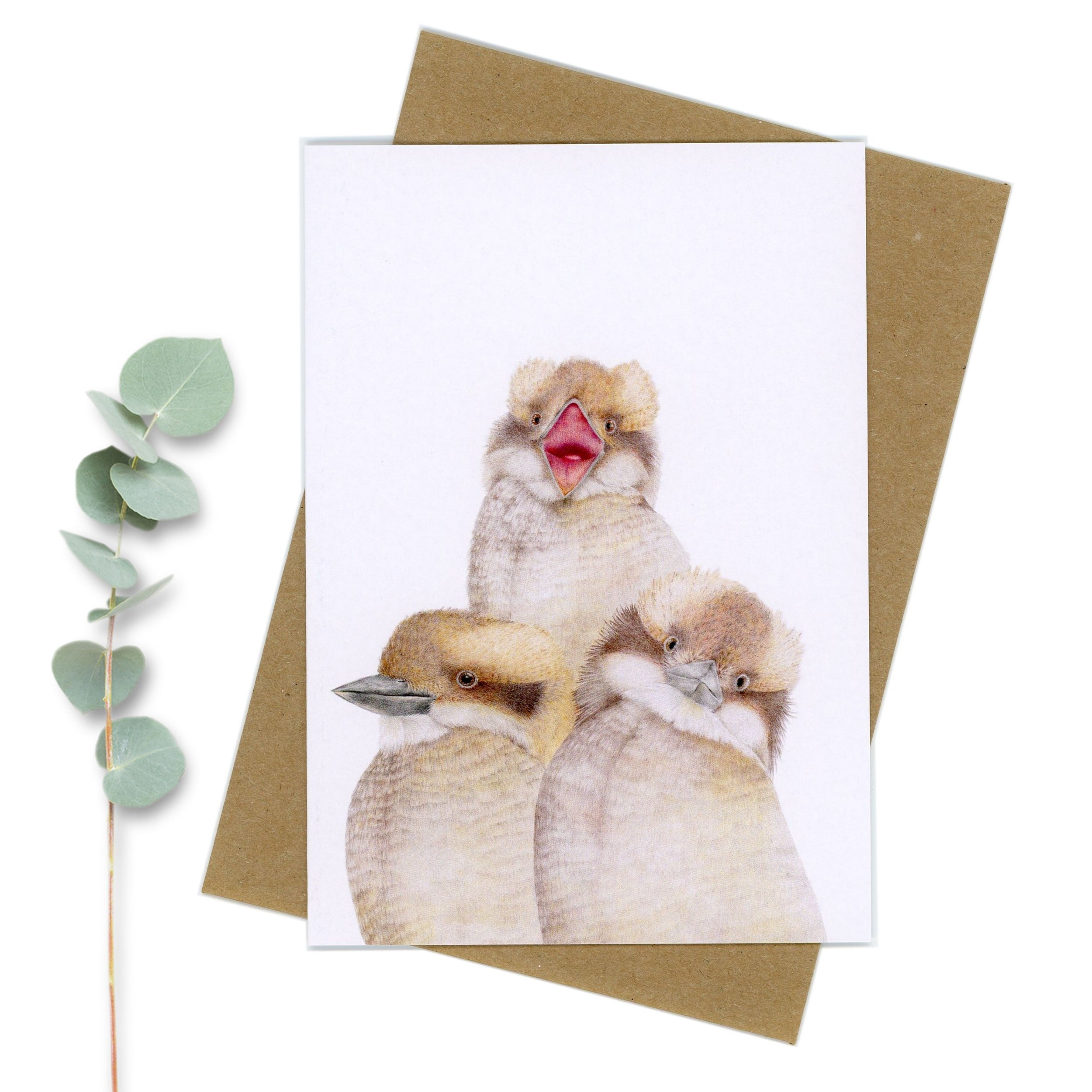 Three young kookaburras gift card