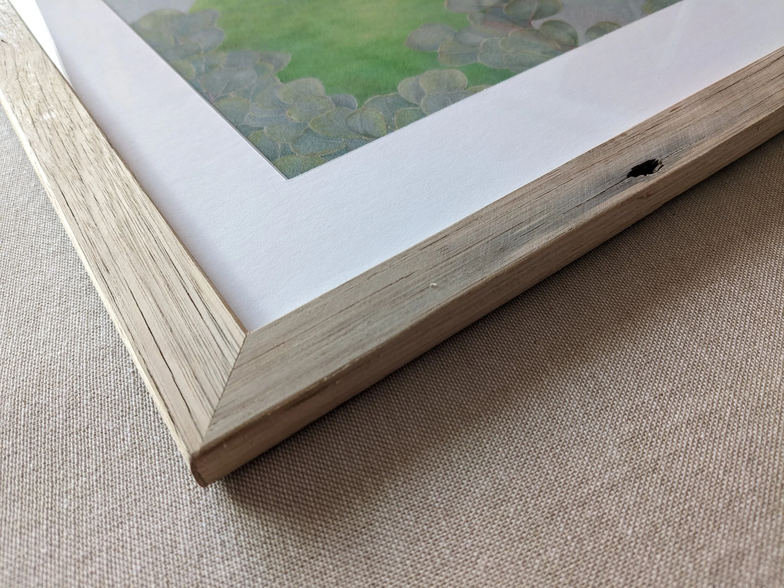 swiftparrotframedetail.jpg