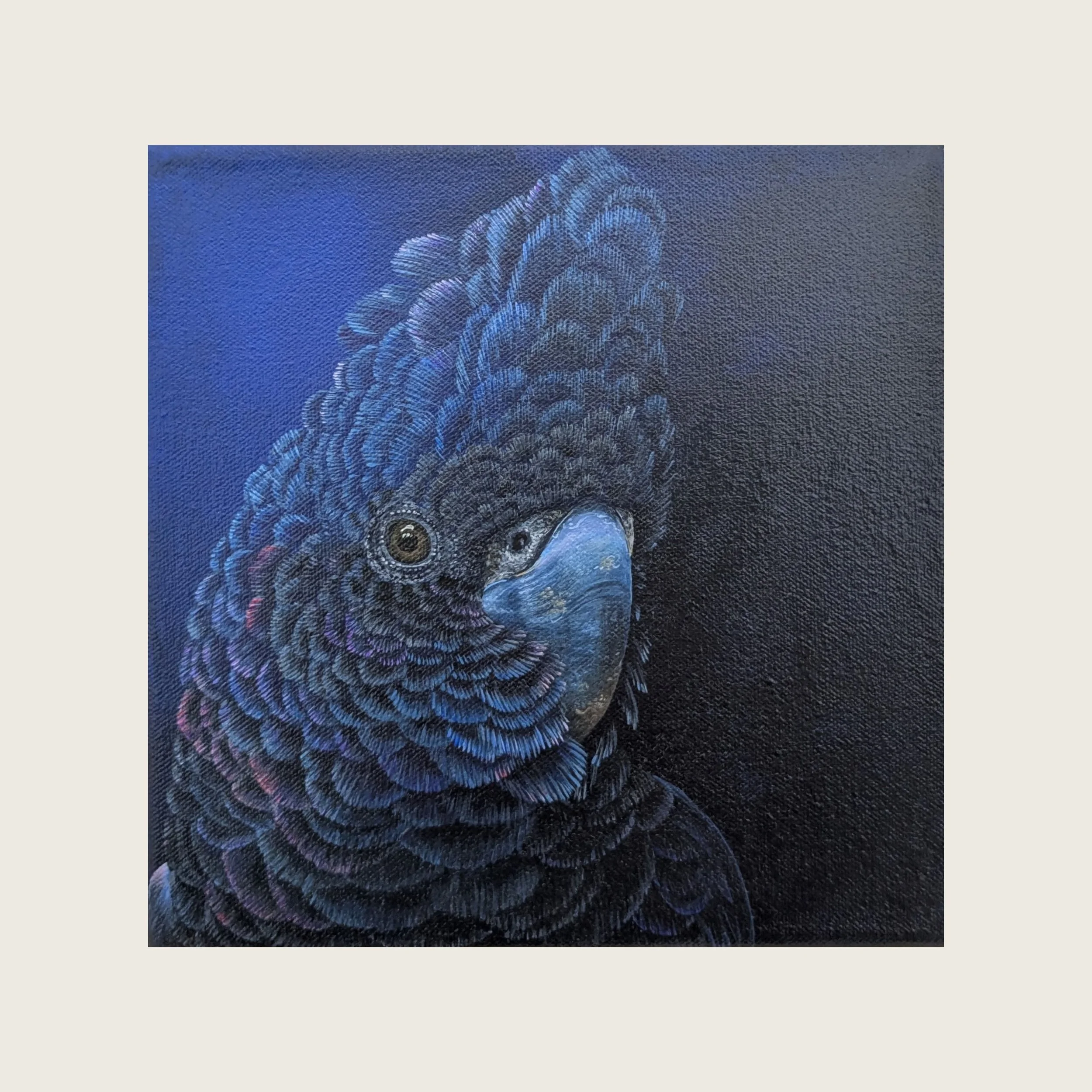 Painting of a black cockatoos face in close up detail. Bird face is in profile and feather colours are exaggerated colours of mostly blue with some pinks and purple.  The background blends from bright blue to very dark, almost black navy blue.