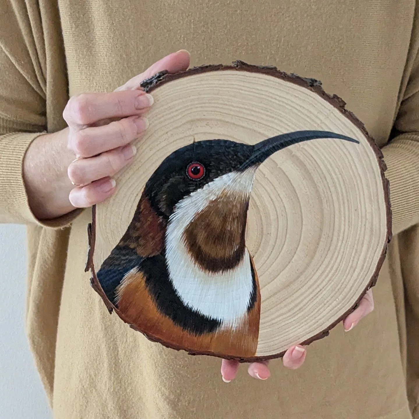 easterspinebillonwoodinhands.jpg