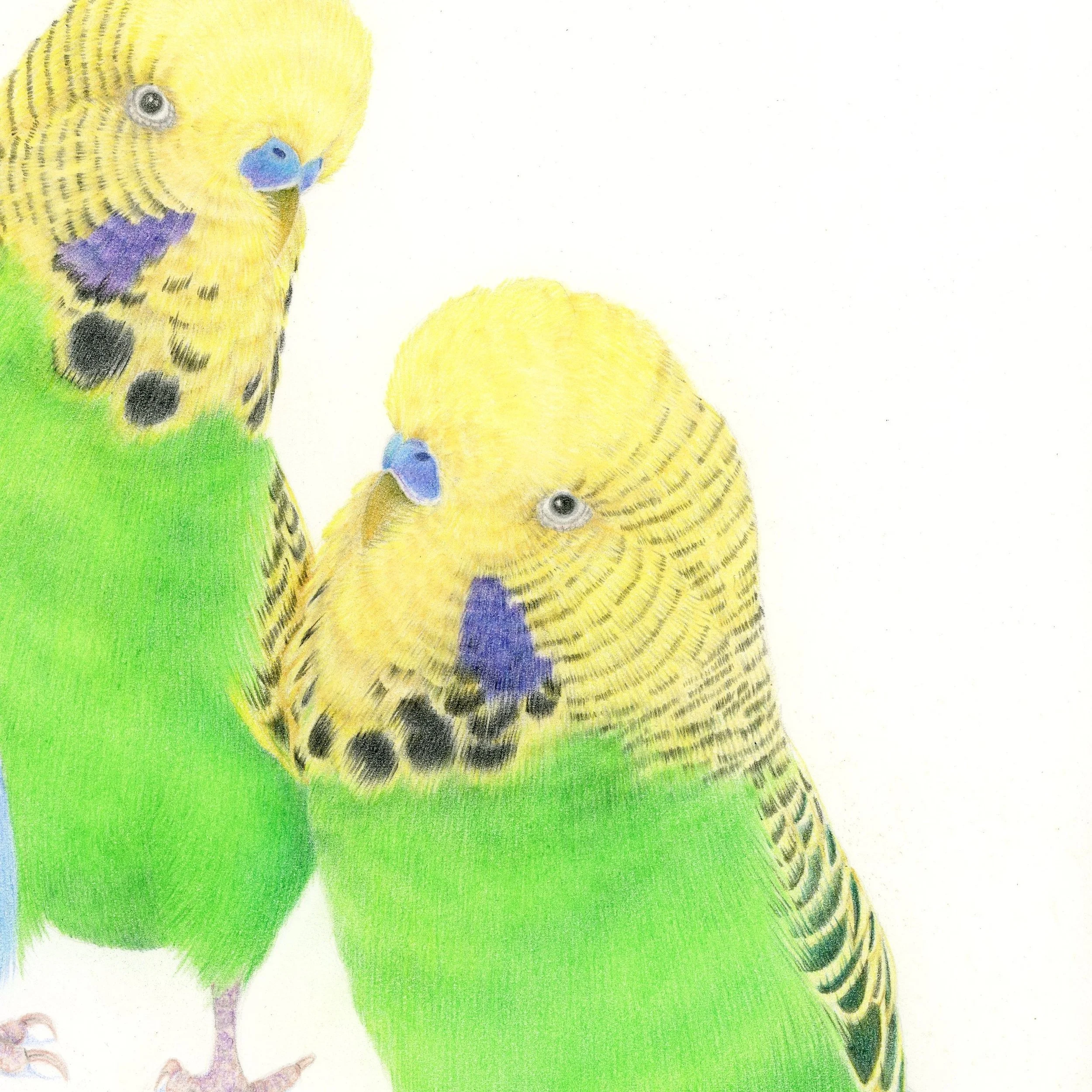 Individualitycloseup2.jpg