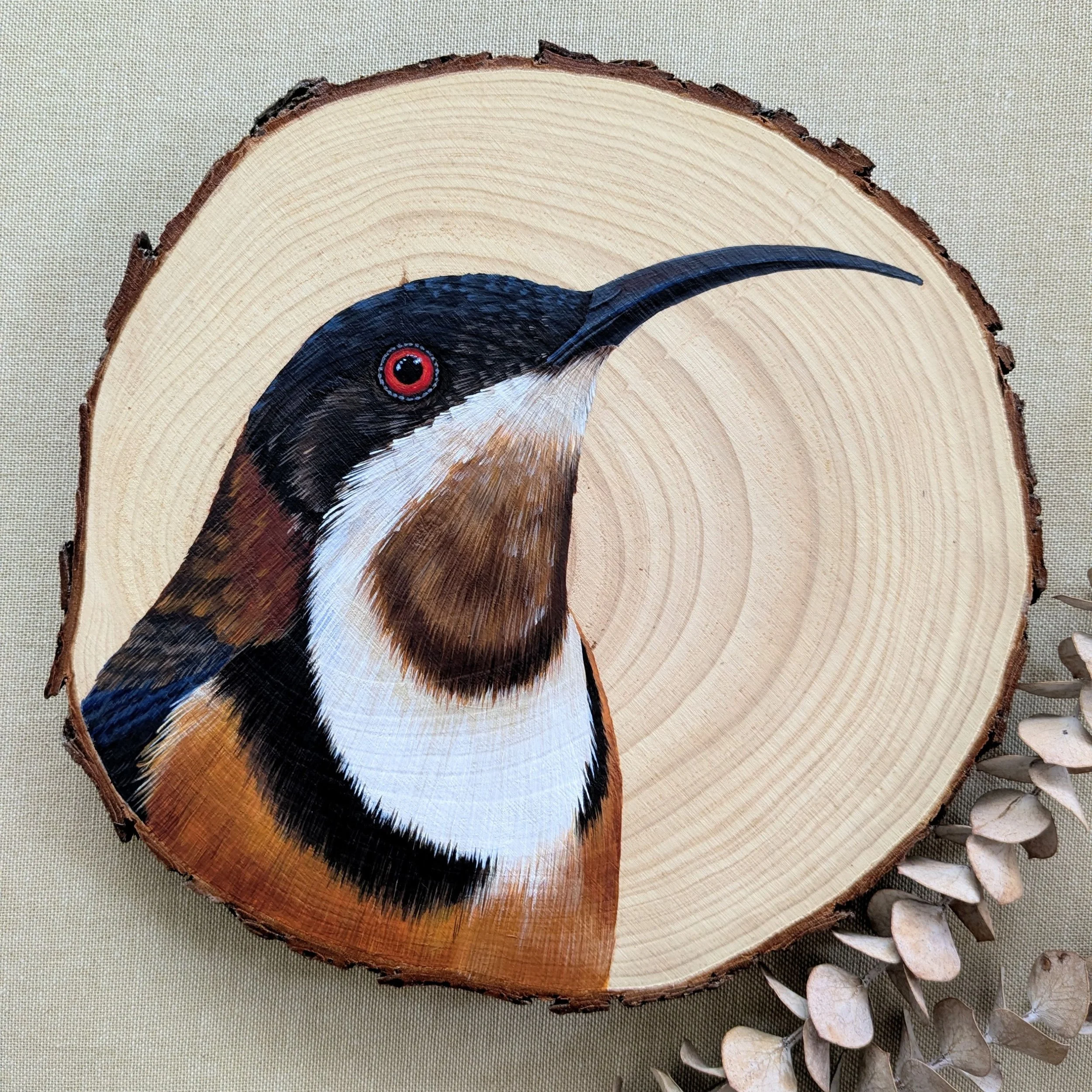 Eastern Spinebill