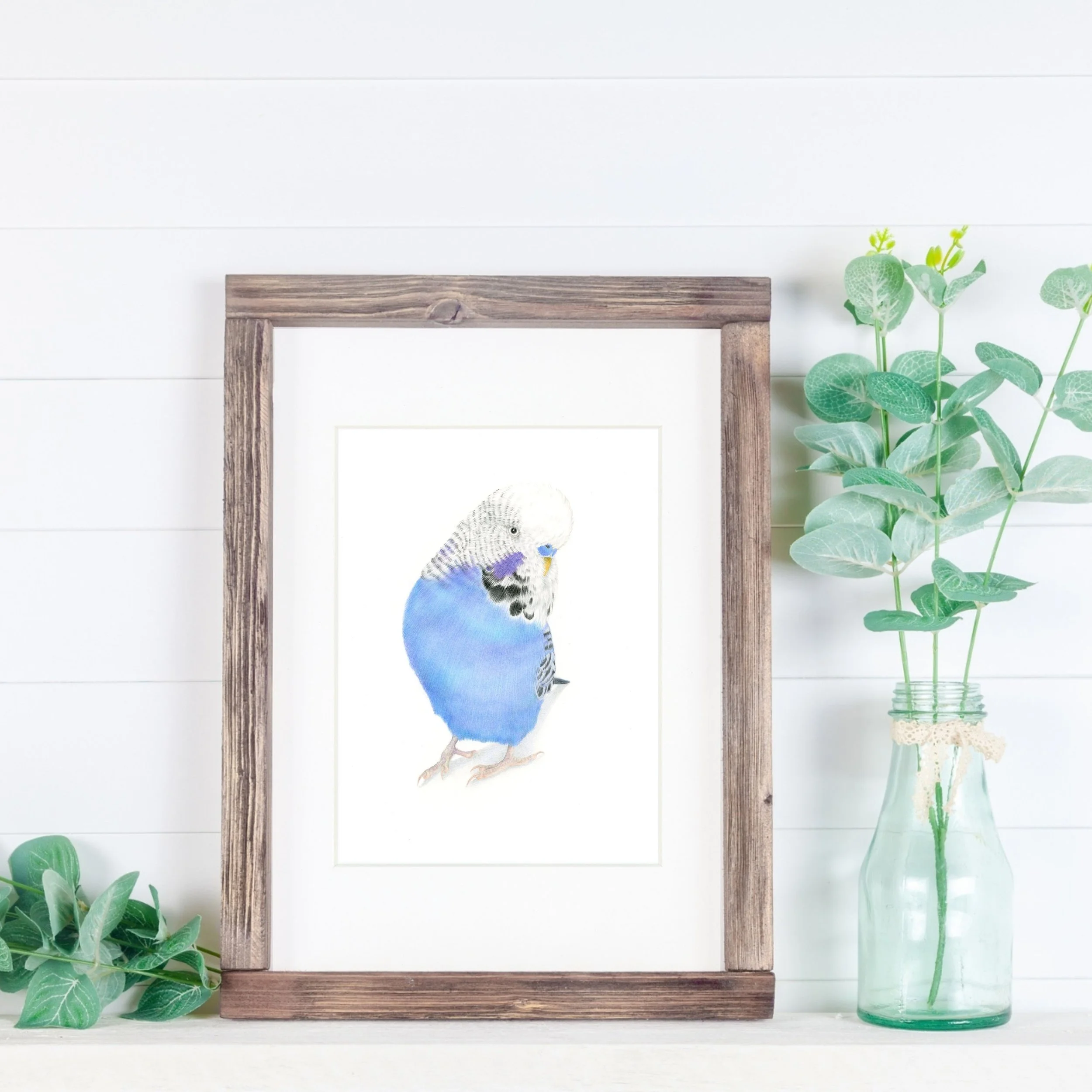 A drawing of a blue budgie in a wooden frame on a shelf with vase.