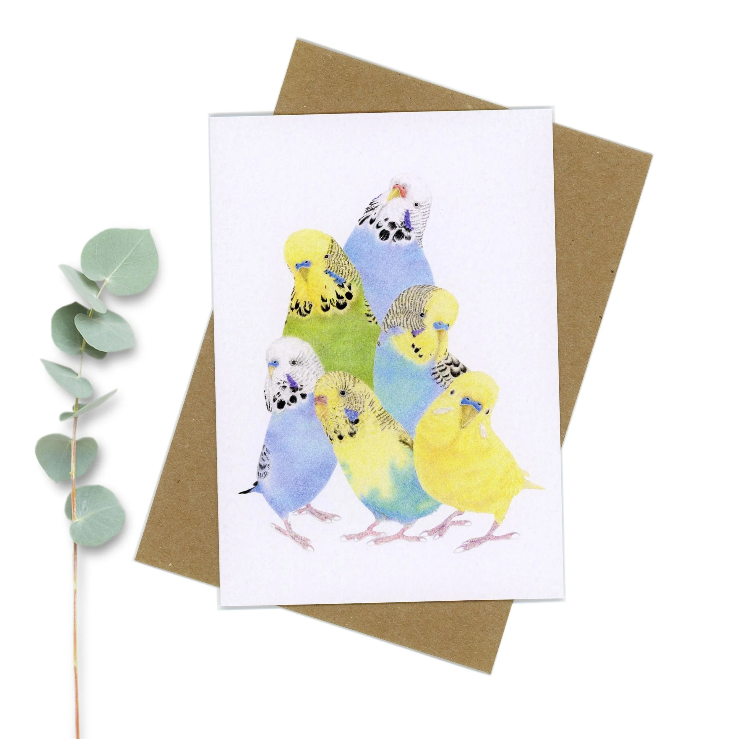 Six colourful budgies greeting card