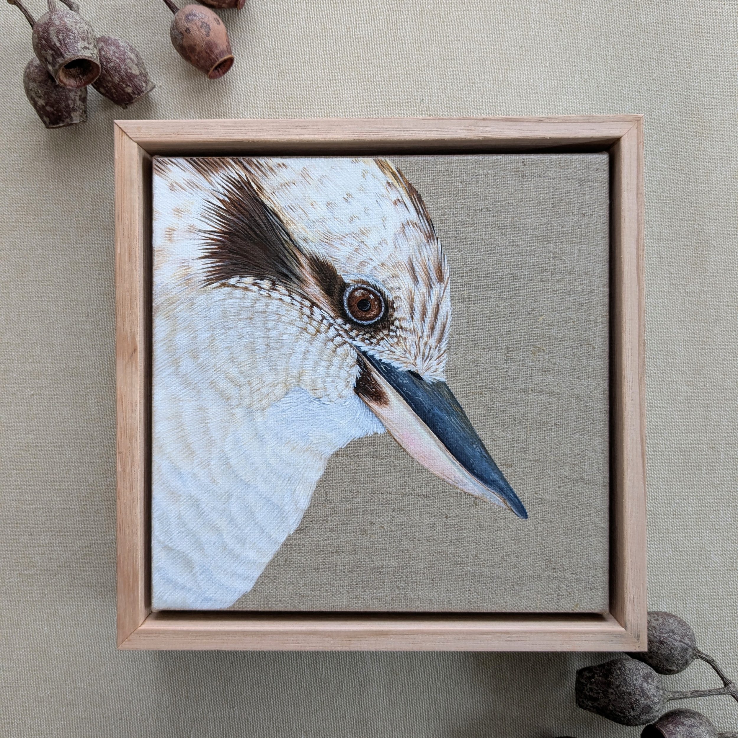 francesthekookaburrawithgumnuts.jpg