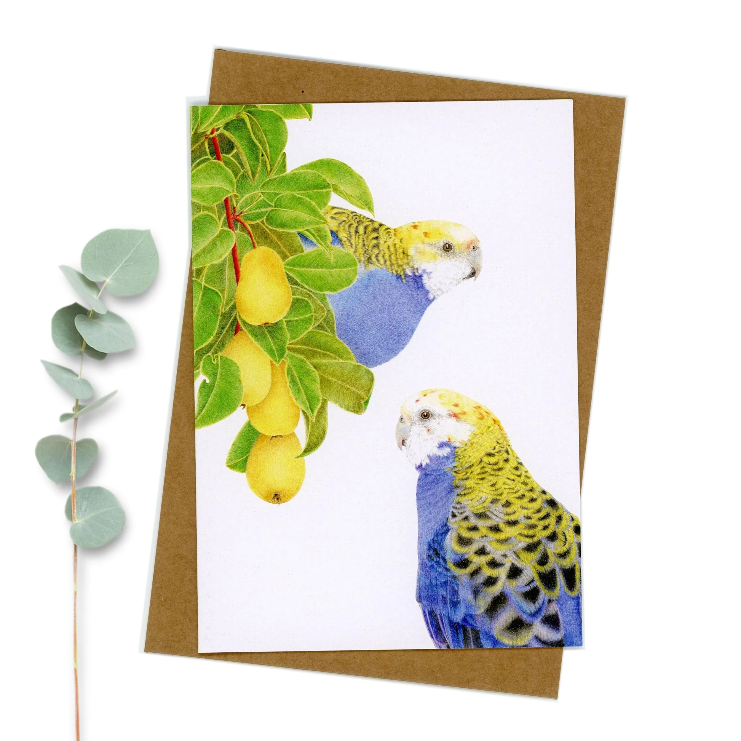 Pale headed rosellas in pear tree greeting card