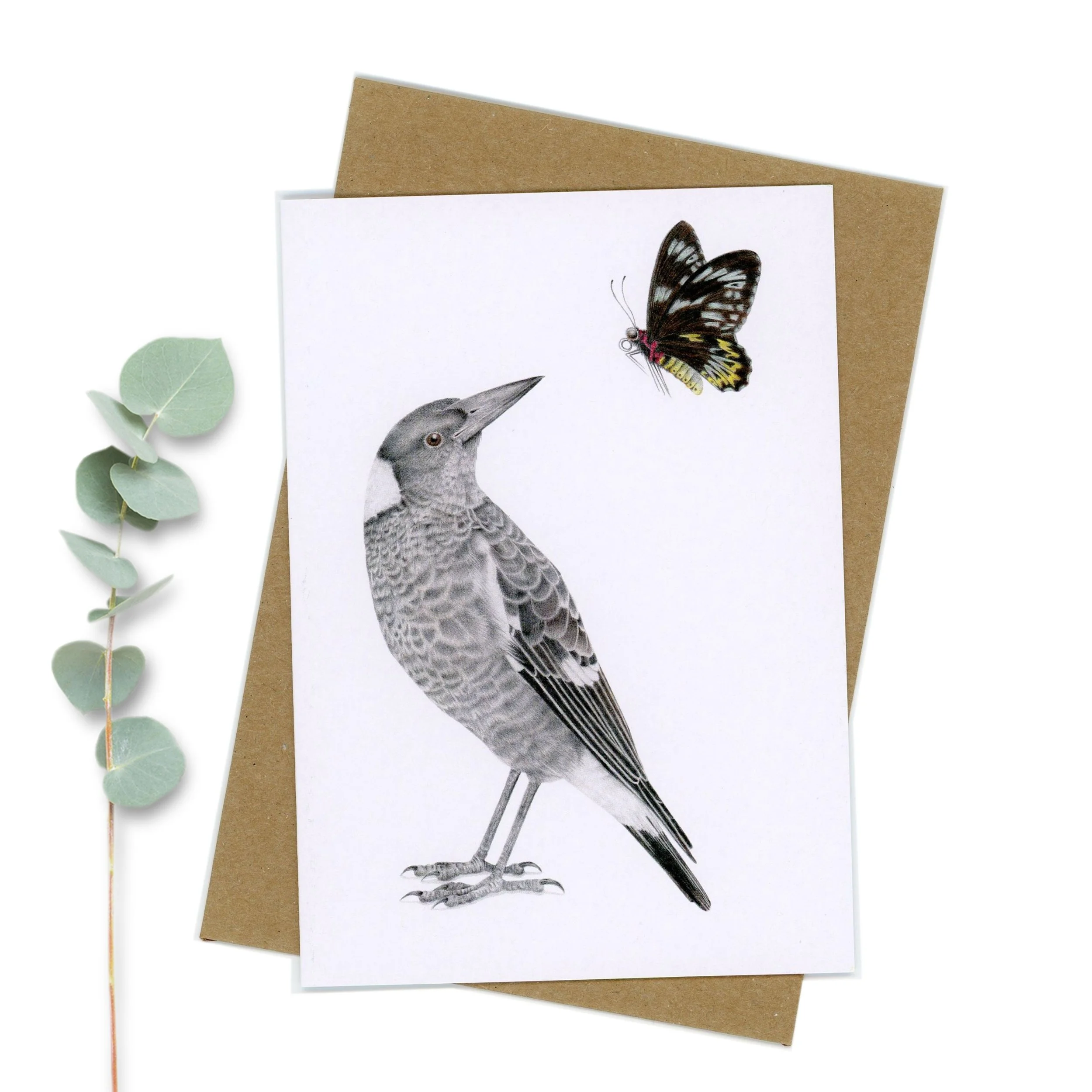 Magpie and birdwing butterfly greeting card