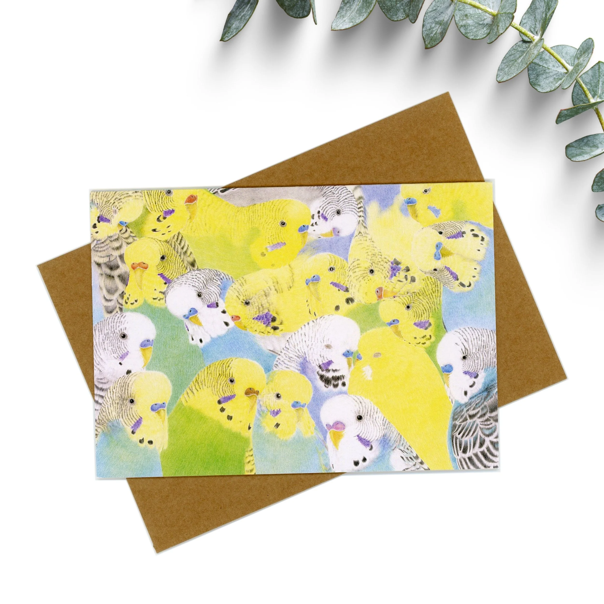 Budgie collage greeting card