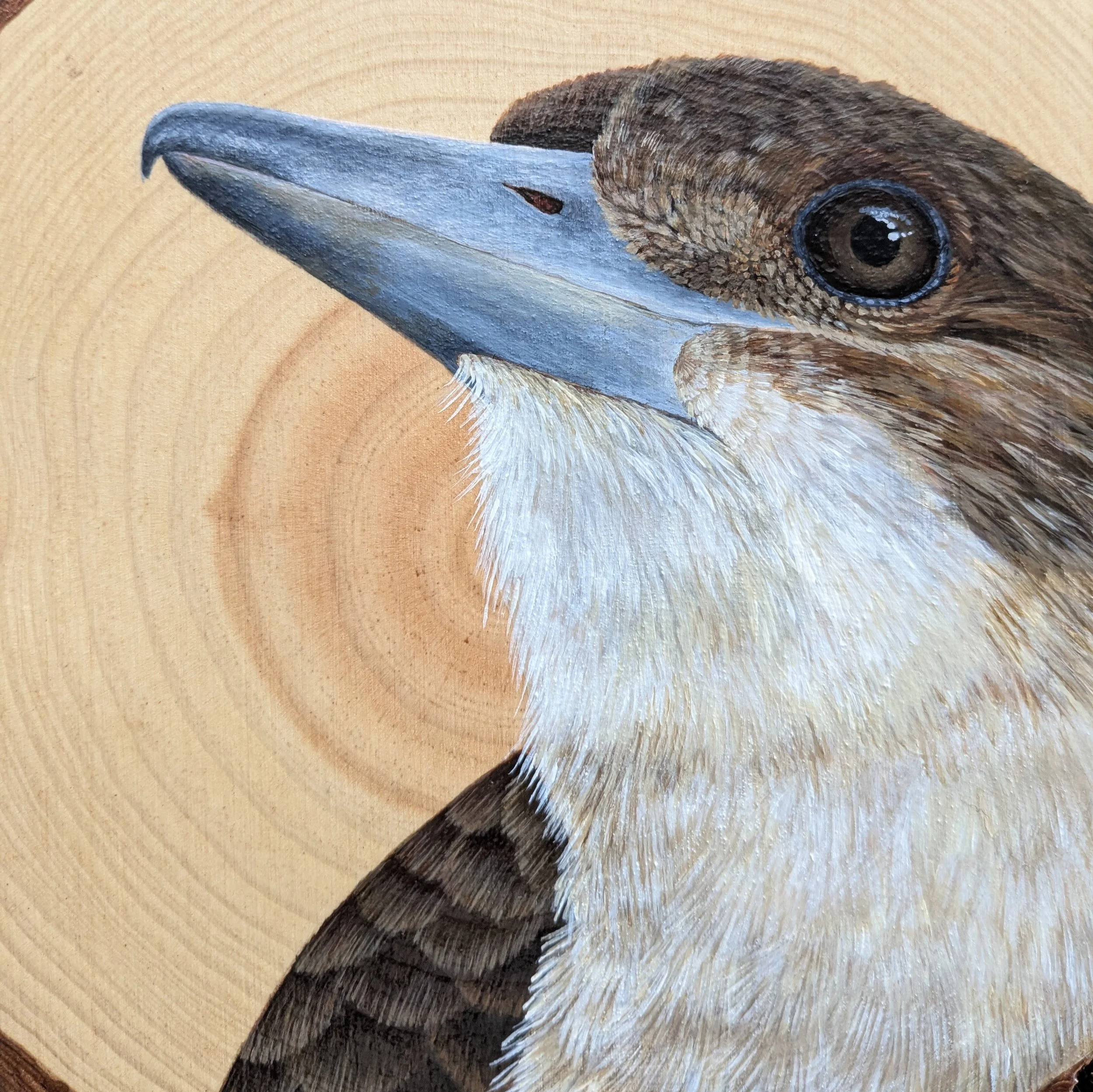 butcherbirdwoodslicepaintingcloseup.jpg