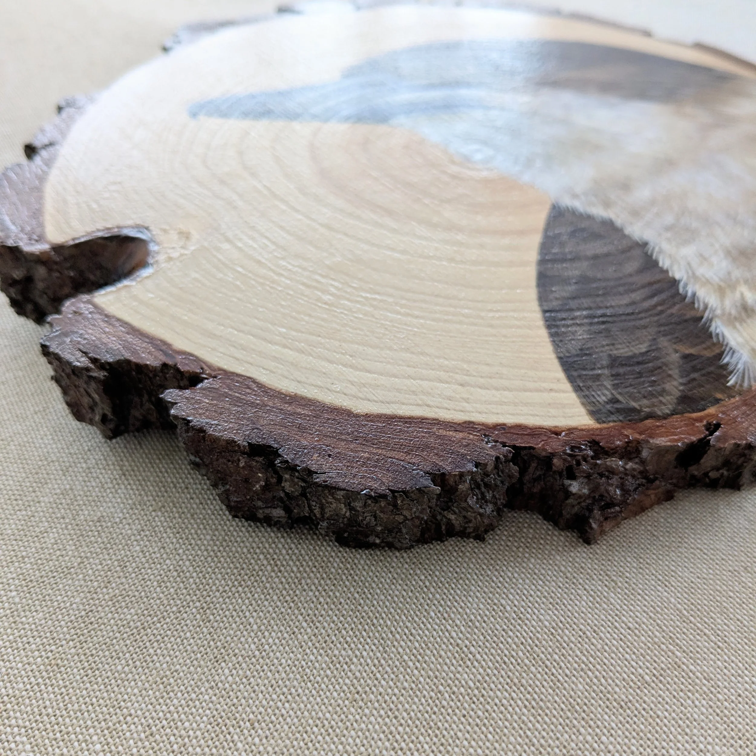 butcherbirdwoodslicepaintingcloseup3.jpg