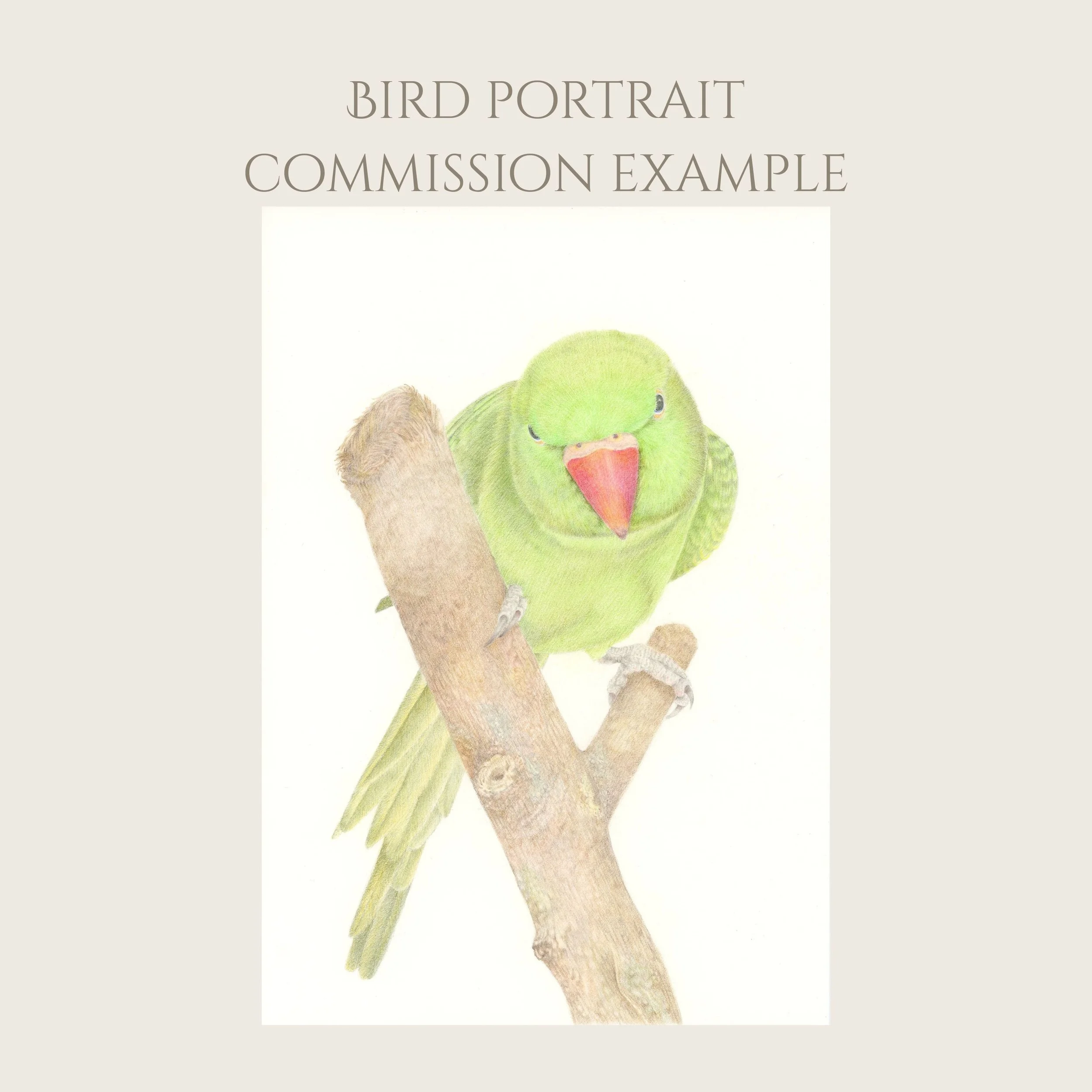 Frame suggestion (Drawing comes unframed) (5).jpg