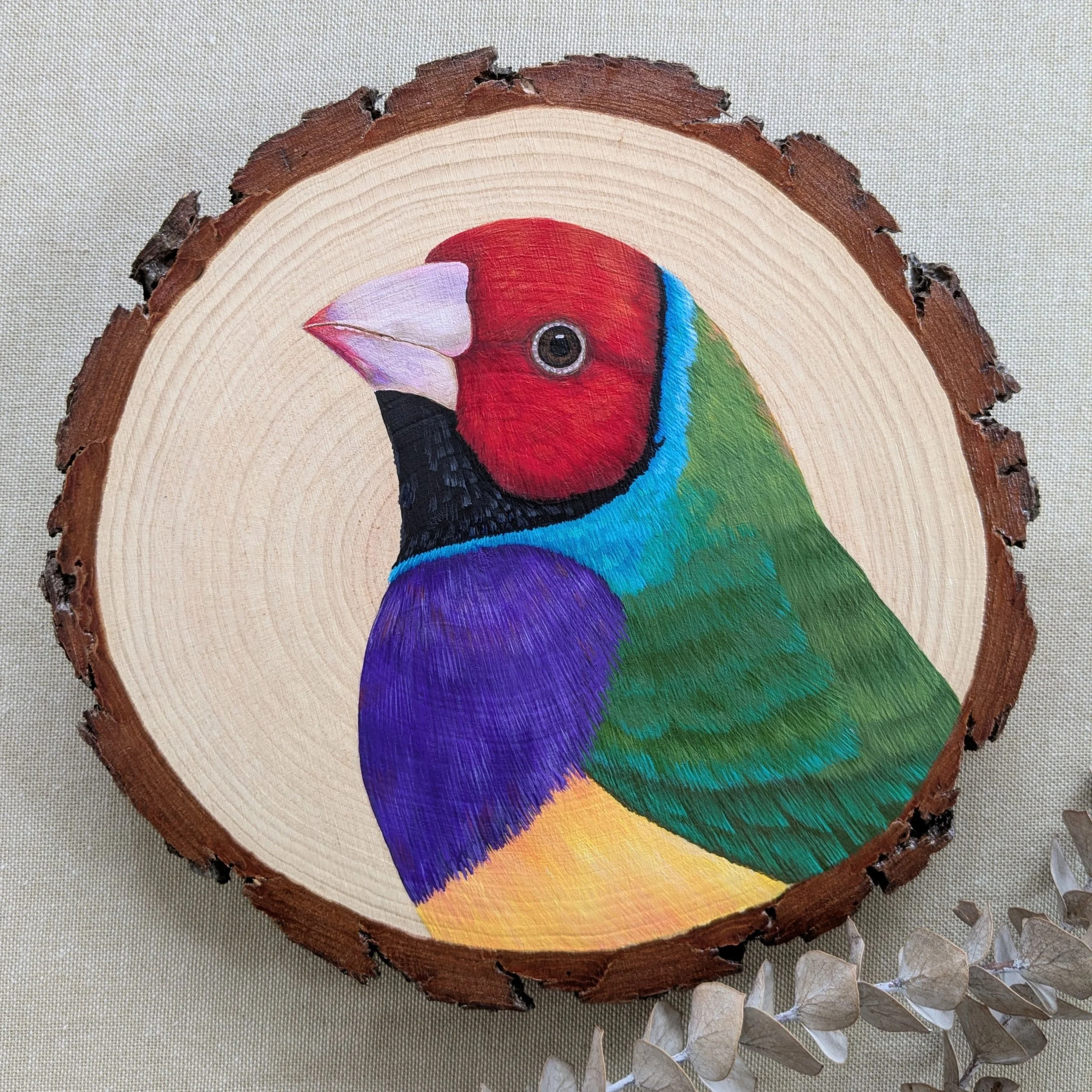 Gouldian finch