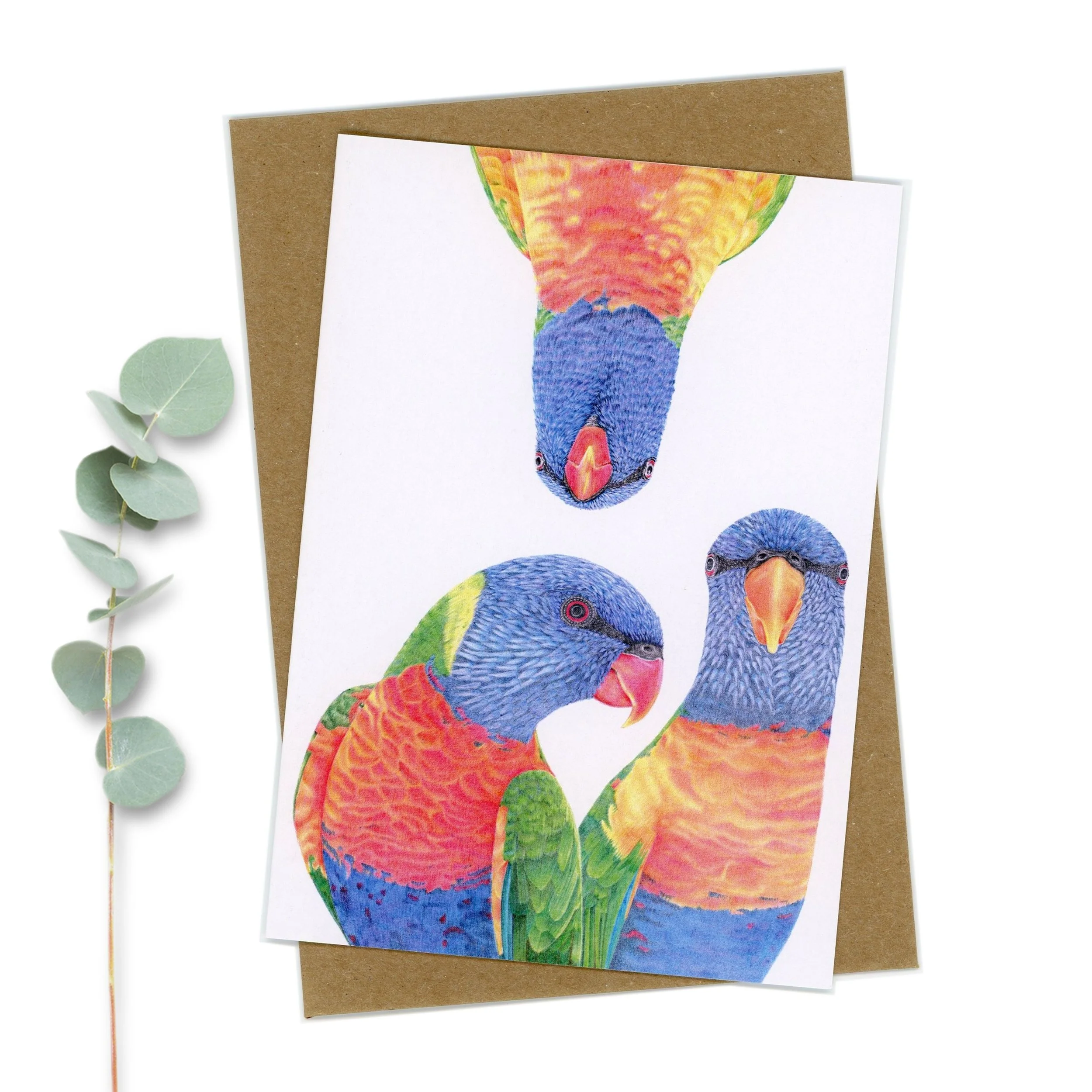 Rainbow lorikeet greeting card
