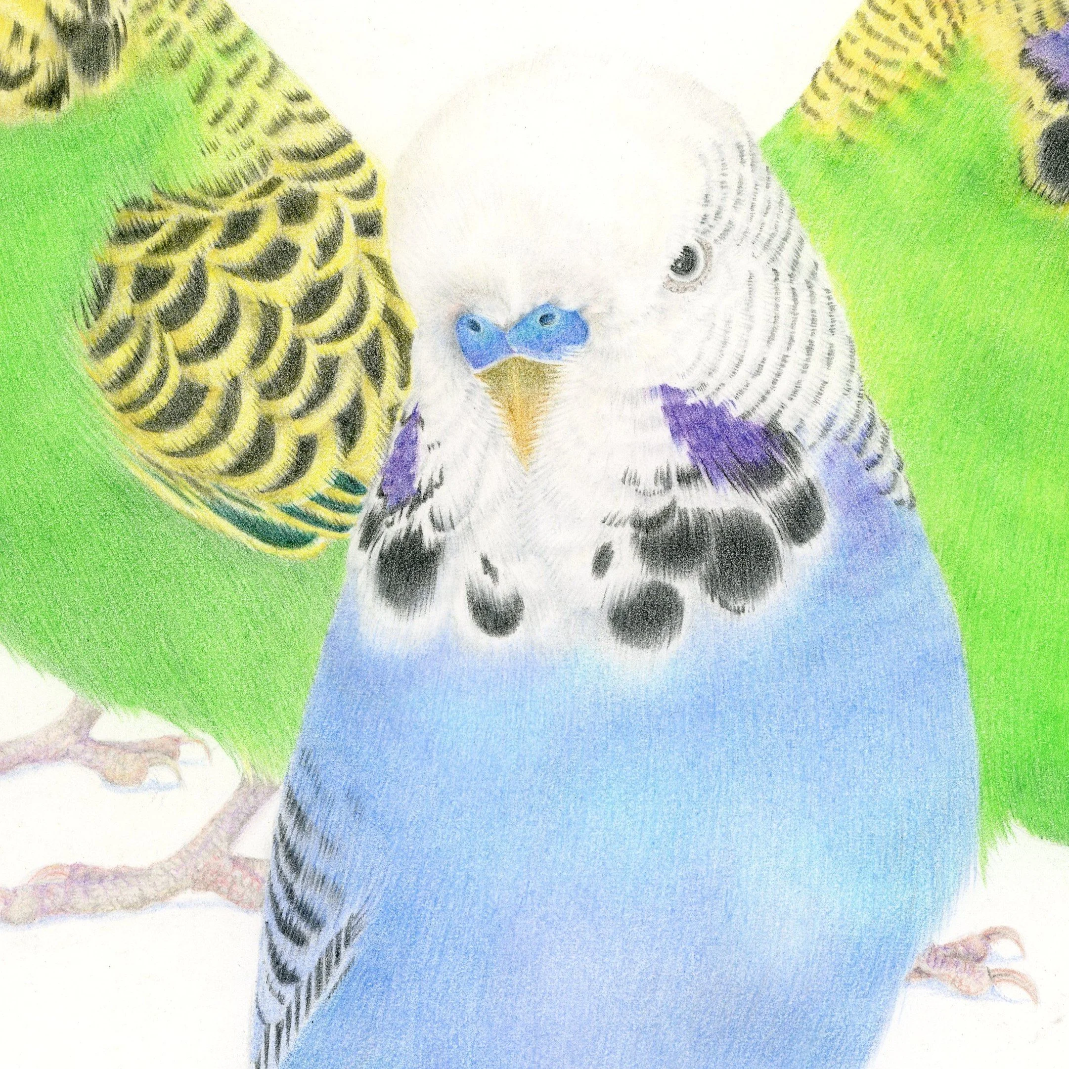 Individualitycloseup.jpg
